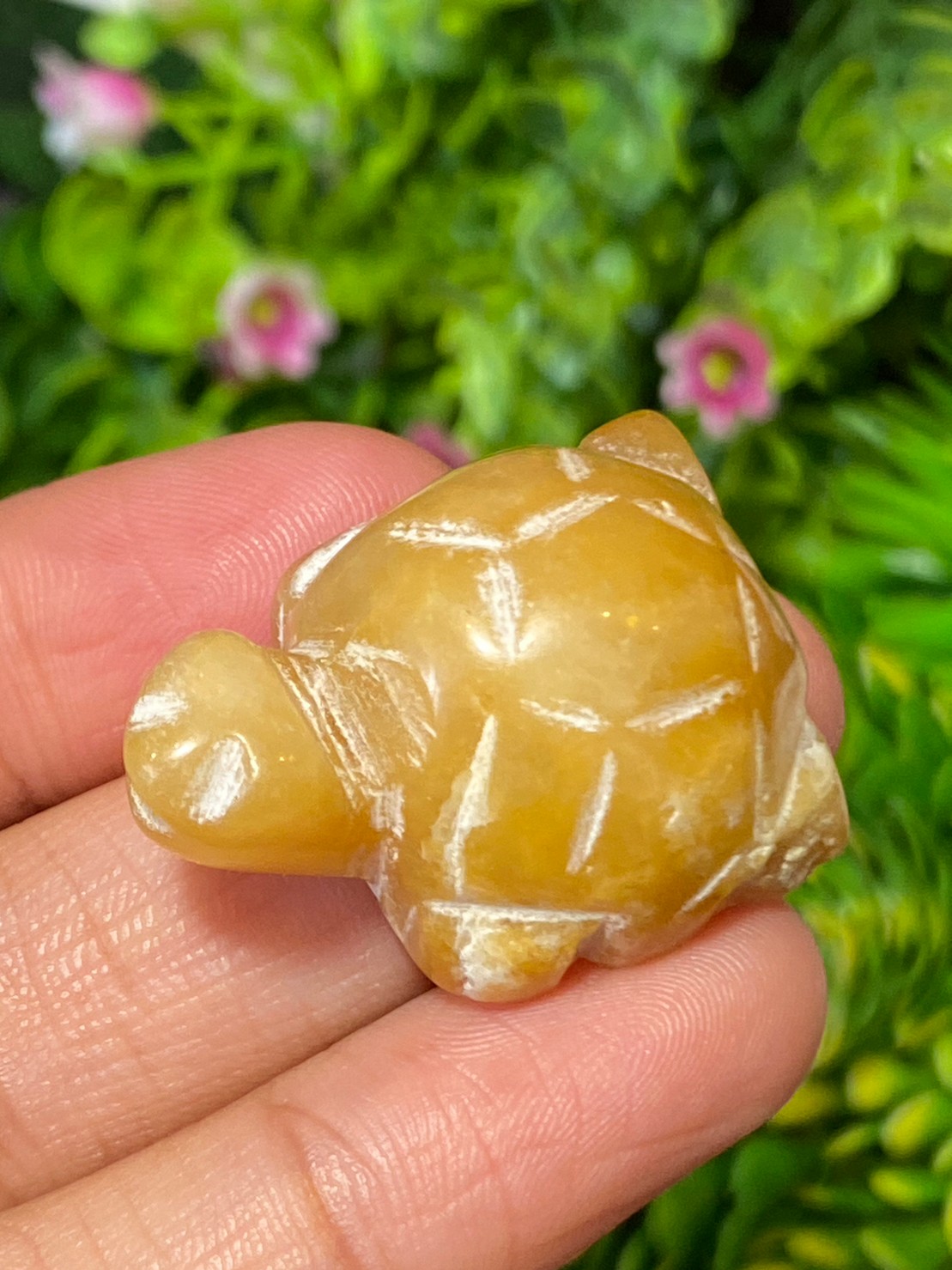 หยกแกะสลัก เต่า หยก พม่า แท้ (Burmese jadeite)