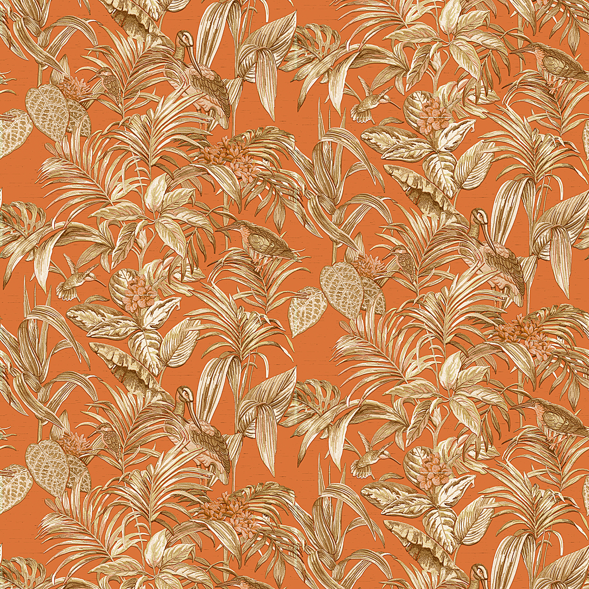 Decortex DE120019