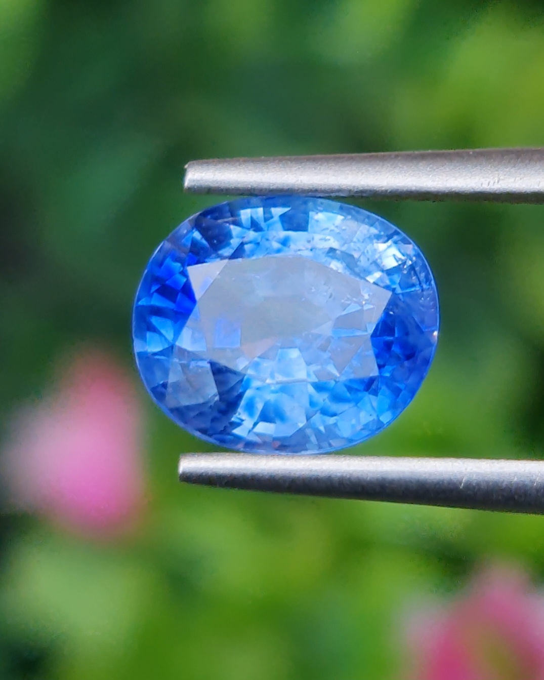 พลอย ไพลิน Blue Sapphire 2.48 กะรัต (Cts.) พร้อมใบเซอร์ พลอยแท้ อัญมณีมงคลประจําวันเกิด เครื่องประดับพลอย