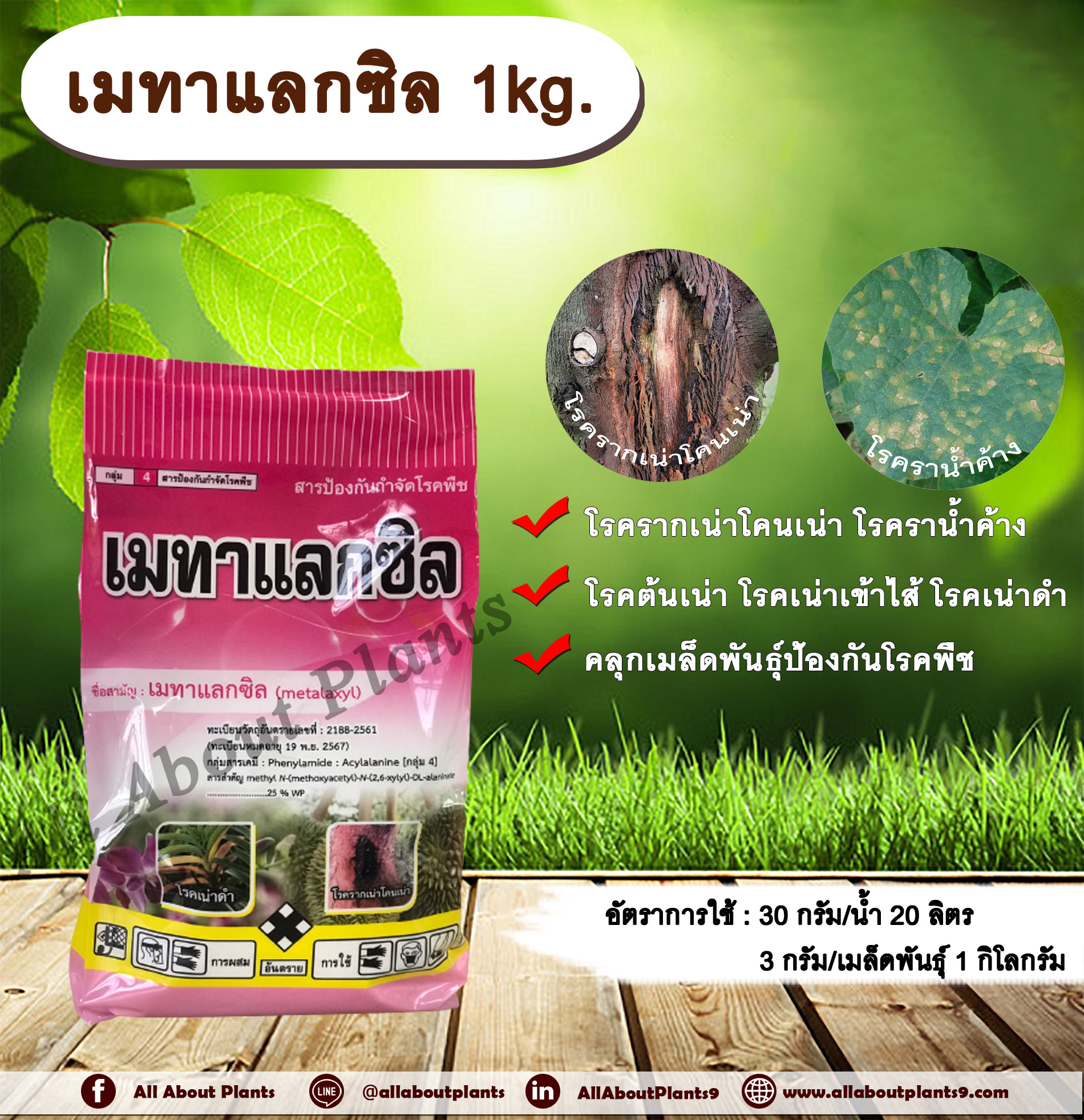 เมทาแลกซิล 1kg. เมทาแลกซิล โรครากเน่าโคนเน่า โรคราน้ำค้าง โรคต้นเน่า โรคเน่าเข้าไส้ โรคเน่าดำ คลุกเมล็ดป้องกันโรค โรคพืช สารกำจัดโรคพืช สารป้องกันโรคพืช allaboutplants ชิ้น