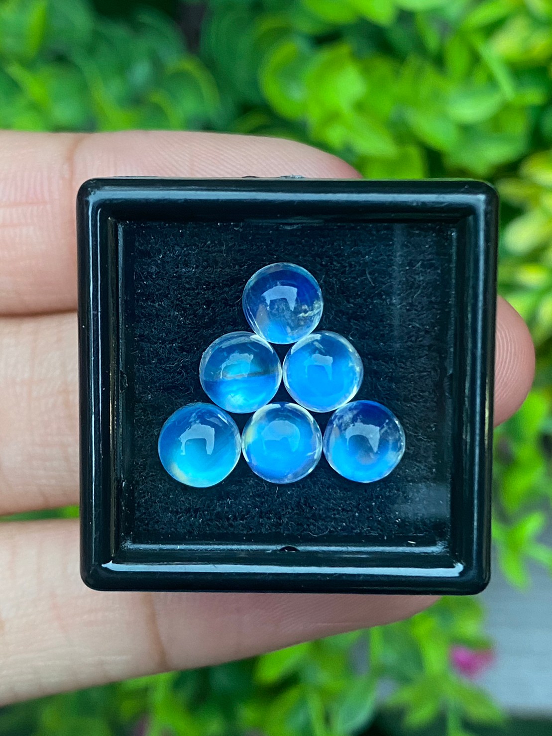 พลอย มุกดาหาร เรนโบว์ มูนสโตน Rainbow Moonstone 7.20 กะรัต 6 เม็ด พลอยแท้ อัญมณีมงคลประจําวันเกิด เครื่องประดับพลอย