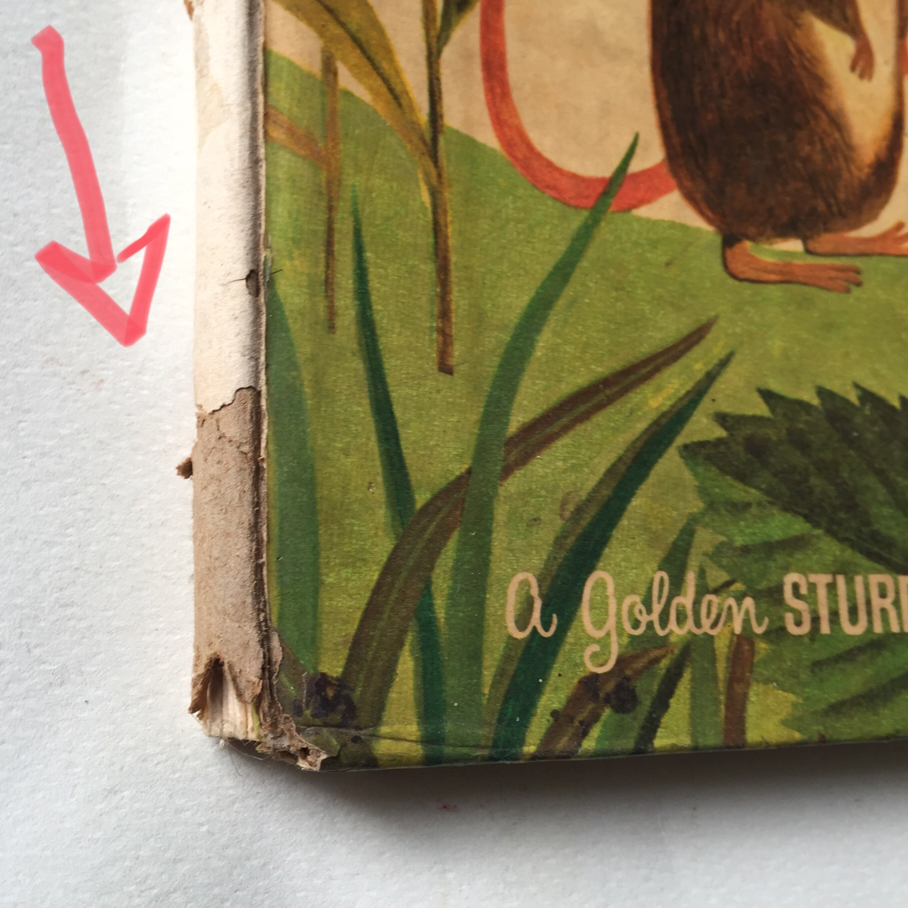 หนังสือนิทานเก่าภาพสวยปกแข็ง ปี 1964 ฉบับภาษาอังกฤษ "I am a Mouse", a golden sturdy happy book **มีตำหนิตามภาพ