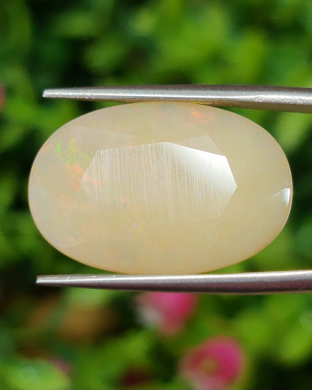 พลอย ไวท์ โอปอล White Opal 12.80 กะรัต (Cts.) พลอยแท้ อัญมณีมงคลประจําวันเกิด เครื่องประดับพลอย