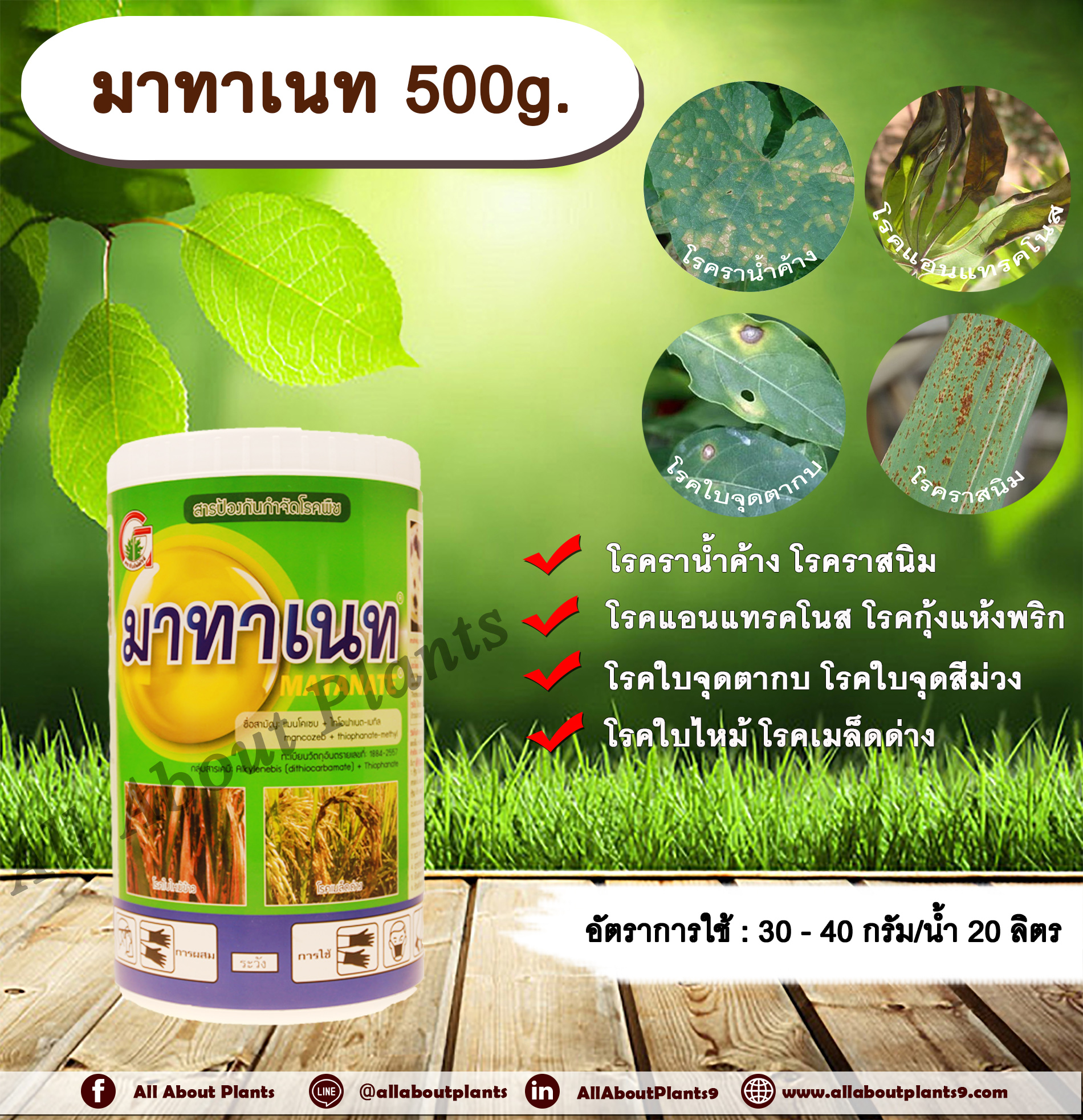 มาทาเนท 500g. แมนโคเซบ+ไทโอฟาเนท-เมทิล กำจัดเชื้อรา โรคแอนแทรคโนส โรคราน้ำค้าง โรคใบจุดตากบ โรคพืช เชื้อรา พริกเน่า allaboutplants ชิ้น