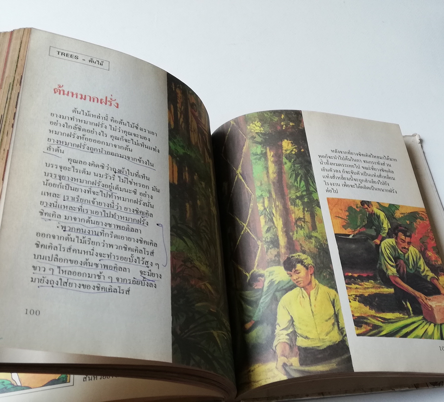 มีหลายภาพ ** หน้าสารบัญขาดหายไป 1 หน้า หน้าที่ 100 มีรอยขีดเส้นใต้ด้วยปากกา,หนังสือภาพการ์ตูนเก่า ปกแข็ง เล่มหนา จาก บริทานิกา เรื่อง สารานุกรมสำหรับเด็ก เล่มที่ 15