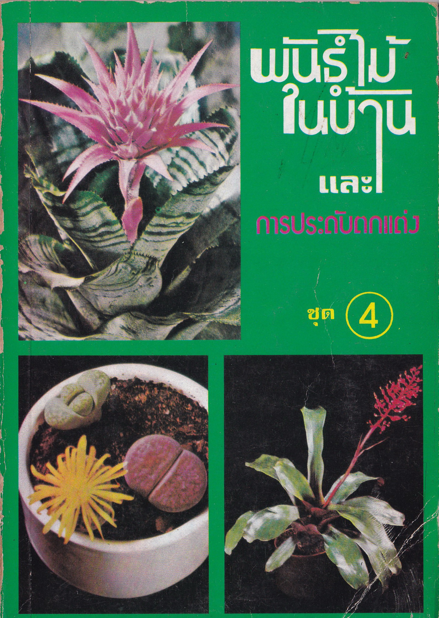 หนังสือเก่า "พันธุ์ไม้ในบ้านและการประดับตกแต่ง ชุด 4" โดย สุขหฤทัย