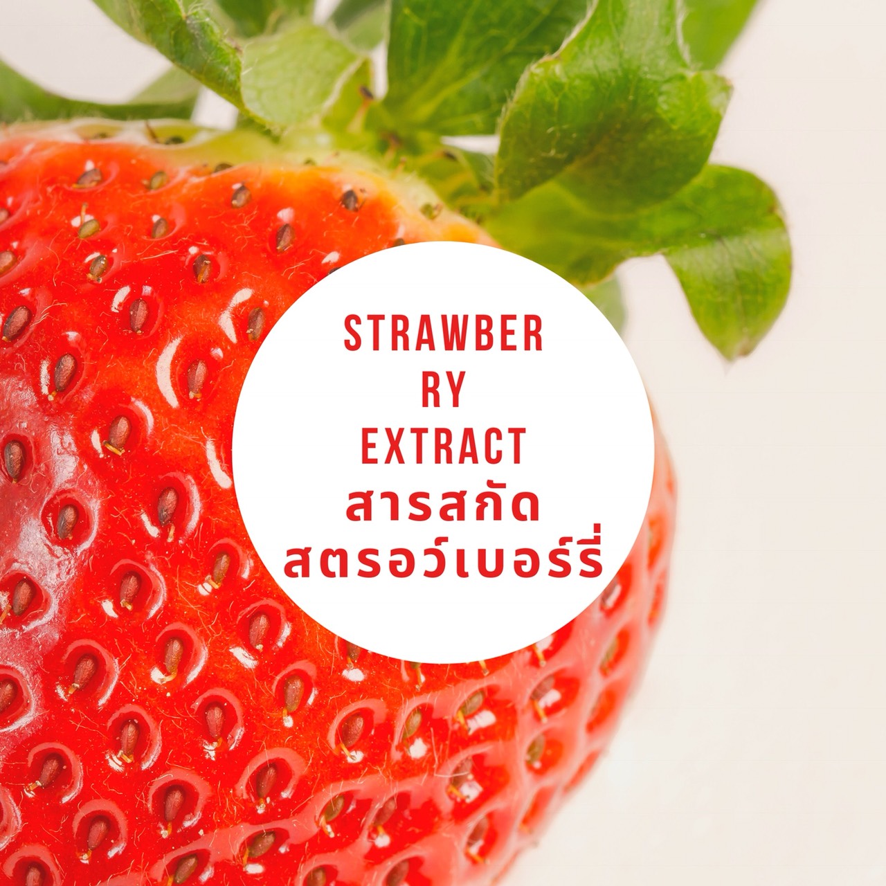 สารสกัดสตรอว์เบอร์รี่เข้มข้น บรรจุ 50 มล. (ราคารวม Vat 7%)