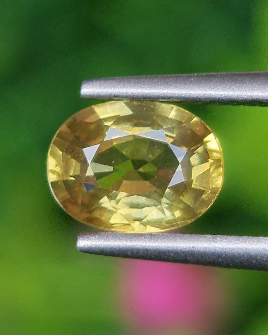 พลอย บุษราคัม Yellow Sapphire 1.04 กะรัต (Cts.) พร้อมใบเซอร์ พลอยแท้ อัญมณีมงคลประจําวันเกิด เครื่องประดับพลอย