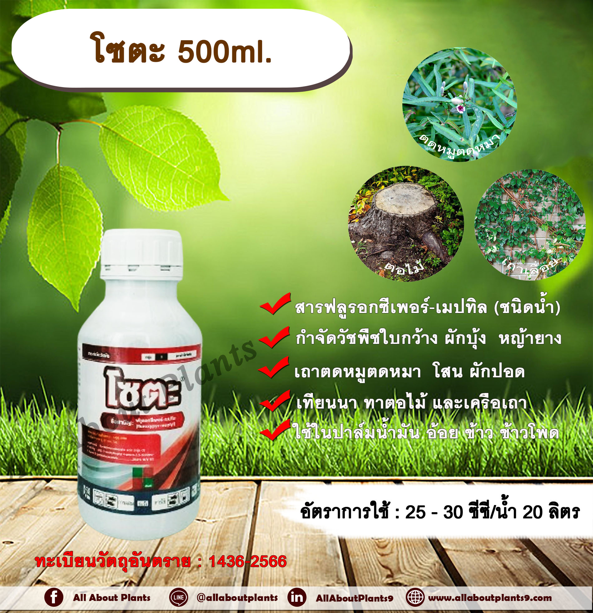 โซตะ 500ml. ฟลูรอกซีเพอร์-เมปทิล สารกำจัดวัชพืช ออกฤทธิ์ดูดซึม กำจัดวัชพืชใบกว้าง ผักบุ้ง หญ้ายาง เถาตดหมูตดหมา โสน ผักปอด เทียนนา ทาตอไม้ และเครือเถา ใช้ในปาล์มน้ำมัน อ้อย ข้าว ข้าวโพด ขวด