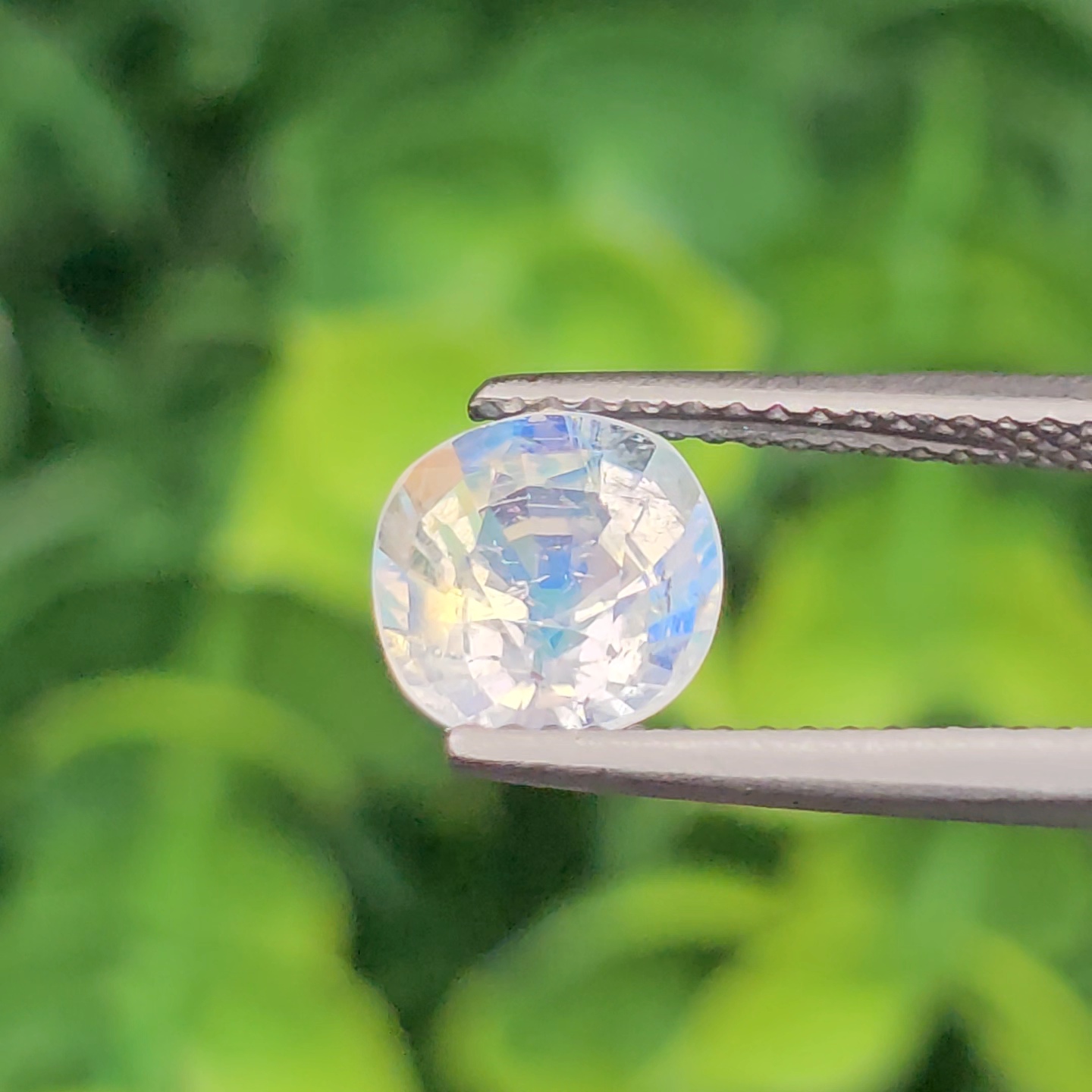 พลอย มูนสโตน เรนโบว์ rainbow moonstone 1.47 กะรัต (cts.) พลอยแท้ อัญมณีมงคลประจําวันเกิด เครื่องประดับพลอย