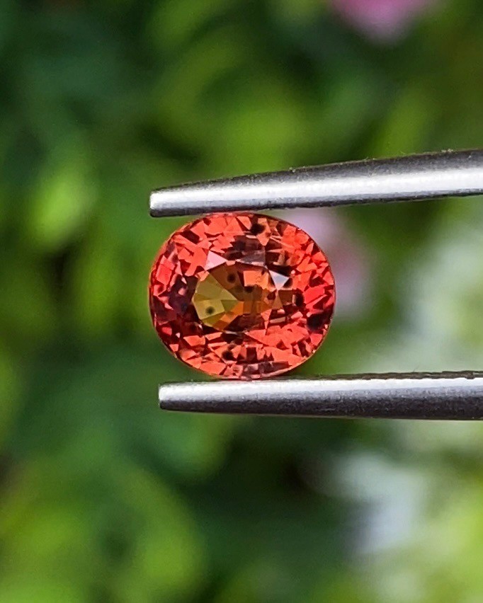 พลอย ออเรนจ์ แซฟไฟร์ Orange Sapphire 1.36 กะรัต (Cts.) พลอยแท้ อัญมณีมงคลประจําวันเกิด เครื่องประดับพลอย