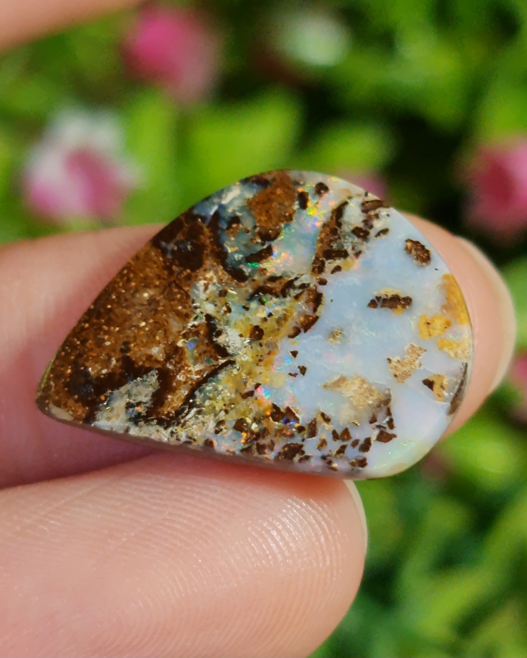 พลอย โบลเดอร์ โอปอล ออสเตรเลีย Australian Boulder Opal 14.3 กะรัต (Cts.) พลอยแท้ อัญมณีมงคลประจําวันเกิด เครื่องประดับพลอย