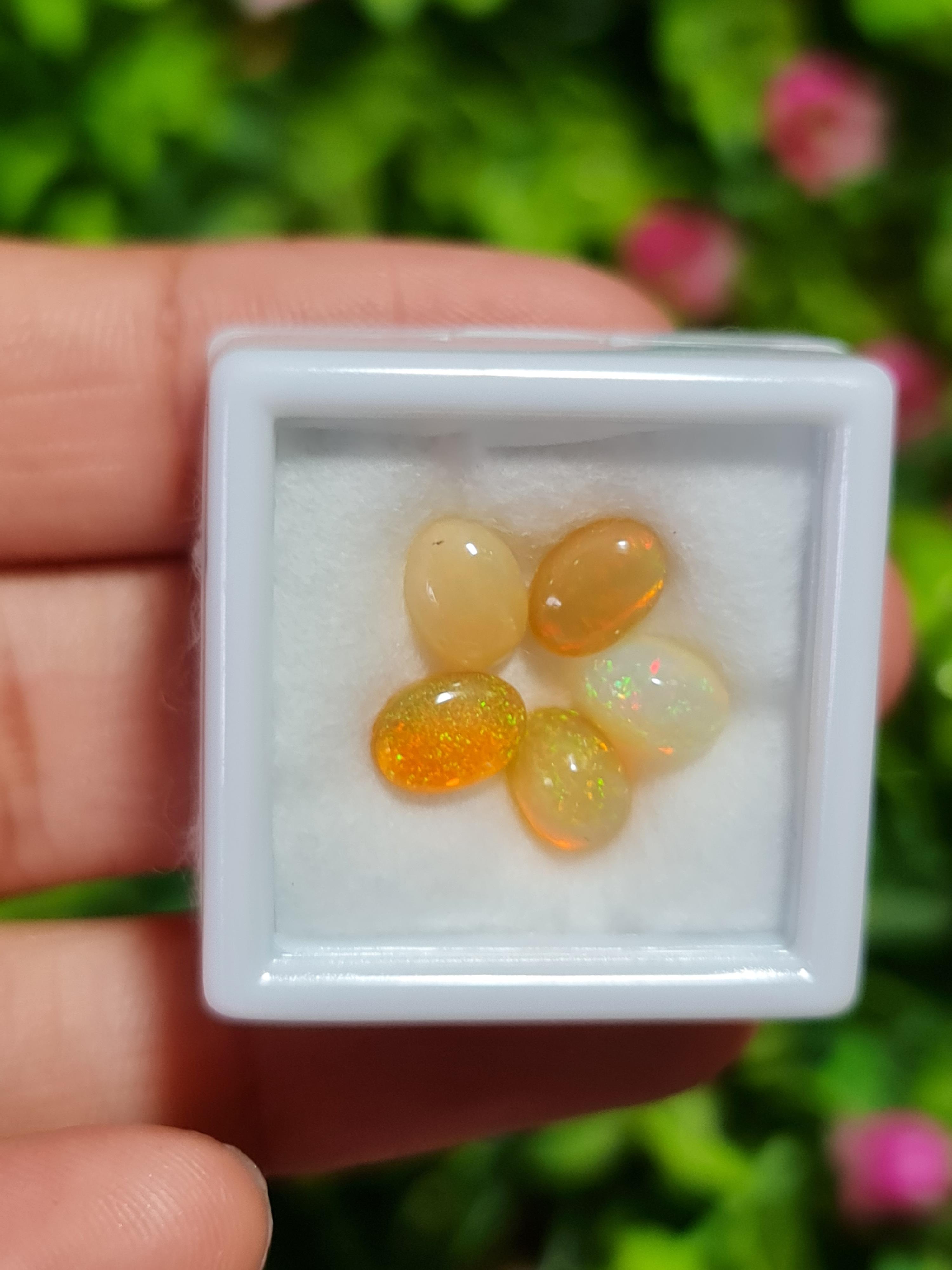 พลอย โอปอล Opal 3.10 กะรัต (Cts.) 5 เม็ด (Pcs.) พลอยแท้ อัญมณีมงคลประจําวันเกิด เครื่องประดับพลอย