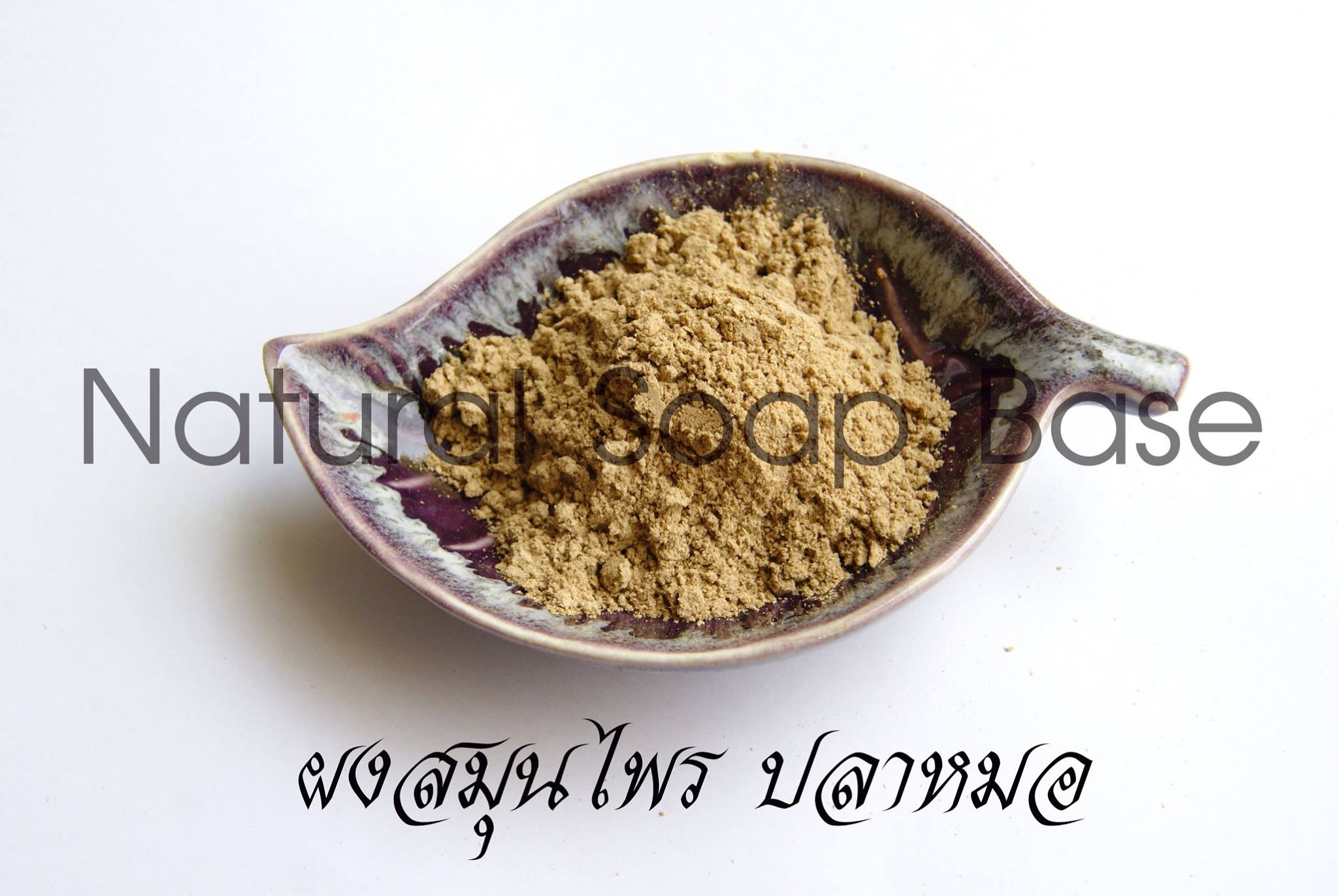 เหงือกปลาหมอ (Sea holly) บรรจุ 50 กรัม (ราคารวม Vat 7%)