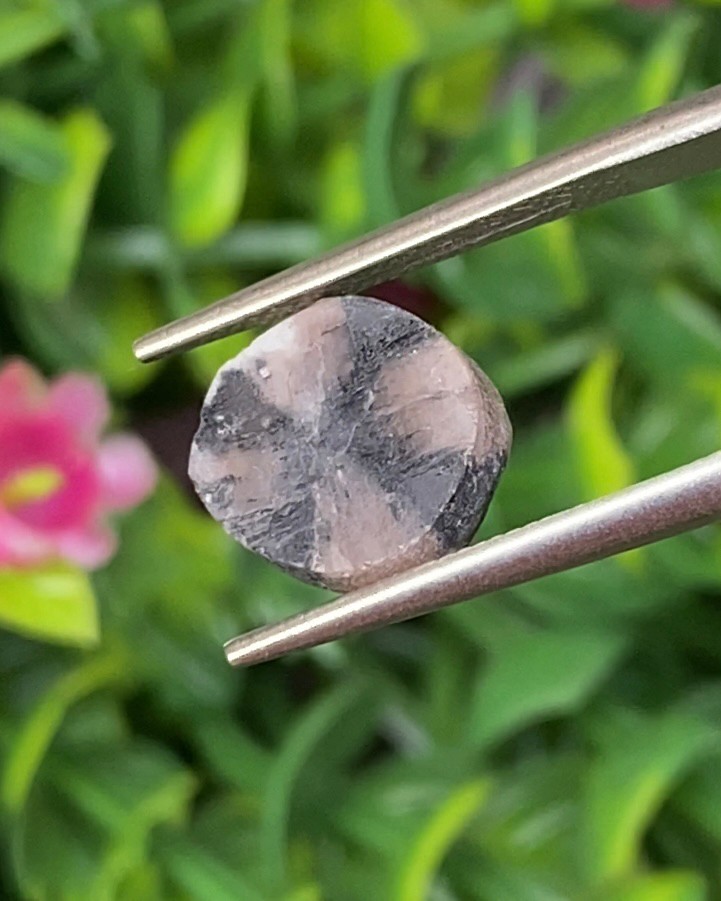 ไคแอสโทไลต์ Chiastolite 3.71 กะรัต (Cts.) พร้อมใบเซอร์ พลอยแท้ อัญมณีมงคลประจําวันเกิด เครื่องประดับพลอย