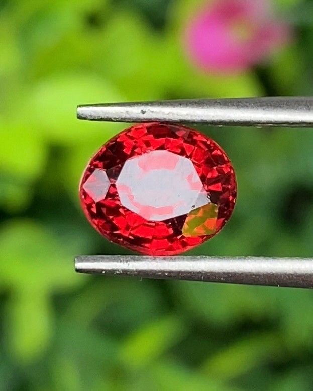 พลอย สเปสซาร์ไทต์ Spessartite Garnet 1.66 กะรัต Cts. พลอยแท้ อัญมณีมงคลประจําวันเกิด เครื่องประดับพลอย