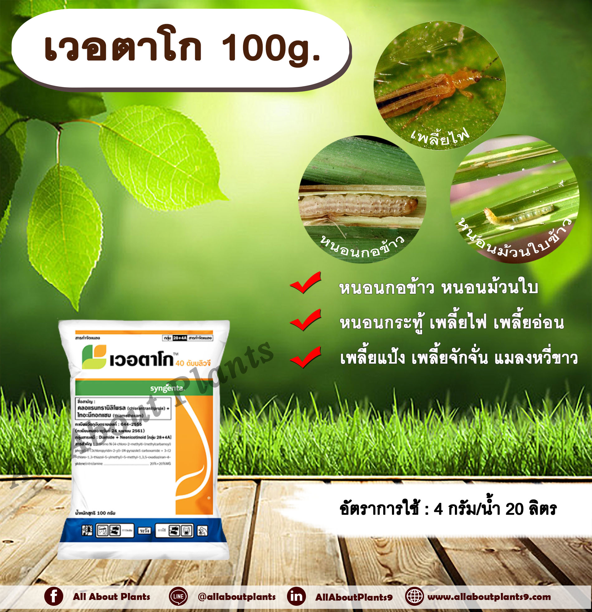 เวอตาโก 100g. คลอแรนทรานิลิโพล+ไทอะมีทอกแซม สารกำจัดแมลง เพลี้ย หนอน หนอนกอข้าว หนอนม้วนใบ เพลี้ยไฟ เพลี้ยอ่อน เพลี้ยแป้ง allaboutplants ชิ้น