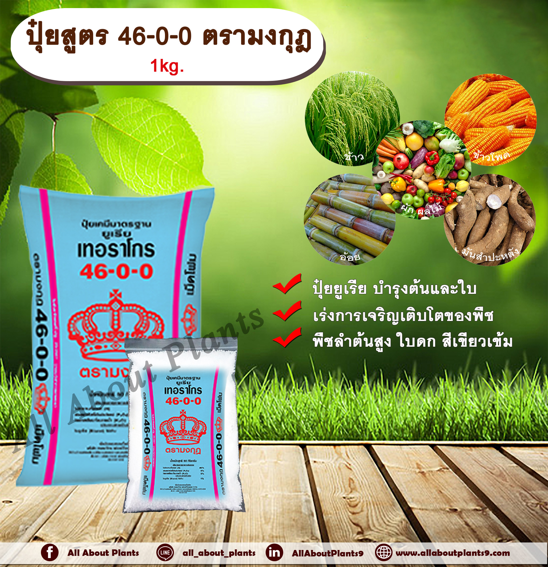 ปุ๋ยสูตร 46-0-0 ตรามงกุฎ 1kg. ยูเรีย บำรุงต้นและใบ เร่งการเจริญเติบโตของพืช พืชลำต้นสูง ใบดก สีเขียวเข้ม ปุ๋ยใส่ดิน NPK allaboutplants ชิ้น