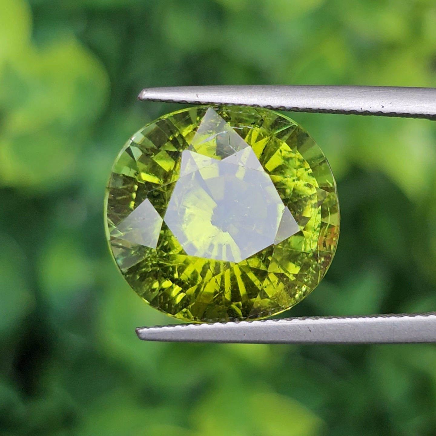 พลอย ทัวร์มาลีน Tourmaline 13.77 กะรัต (Cts.) พลอยแท้อัญมณีมงคล ประจําวันเกิด เครื่องประดับพลอย