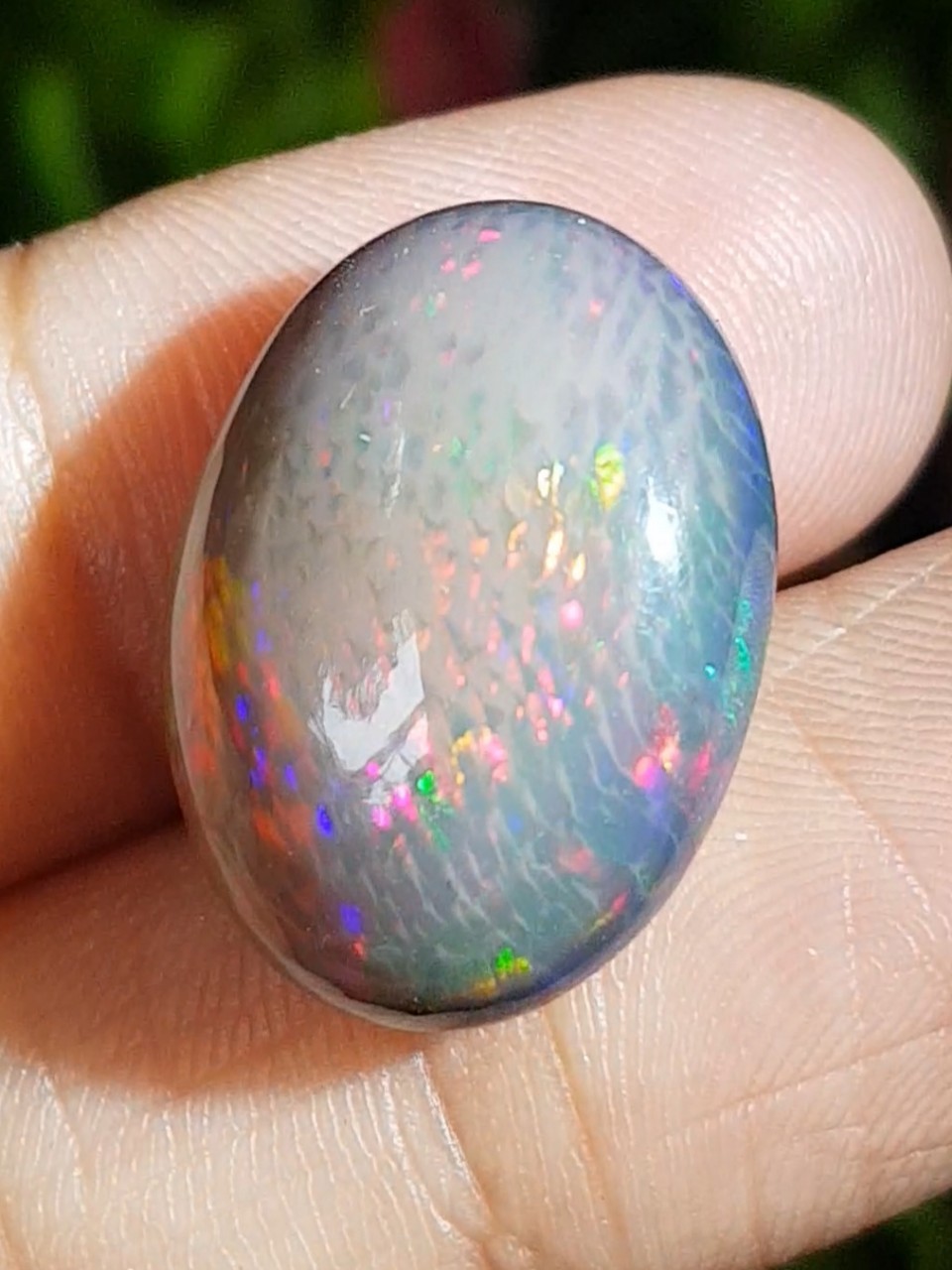 พลอย แบล็ก โอปอล Black Opal 13.73 กะรัต (Cts.) พลอยแท้ อัญมณีมงคลประจําวันเกิด เครื่องประดับพลอย