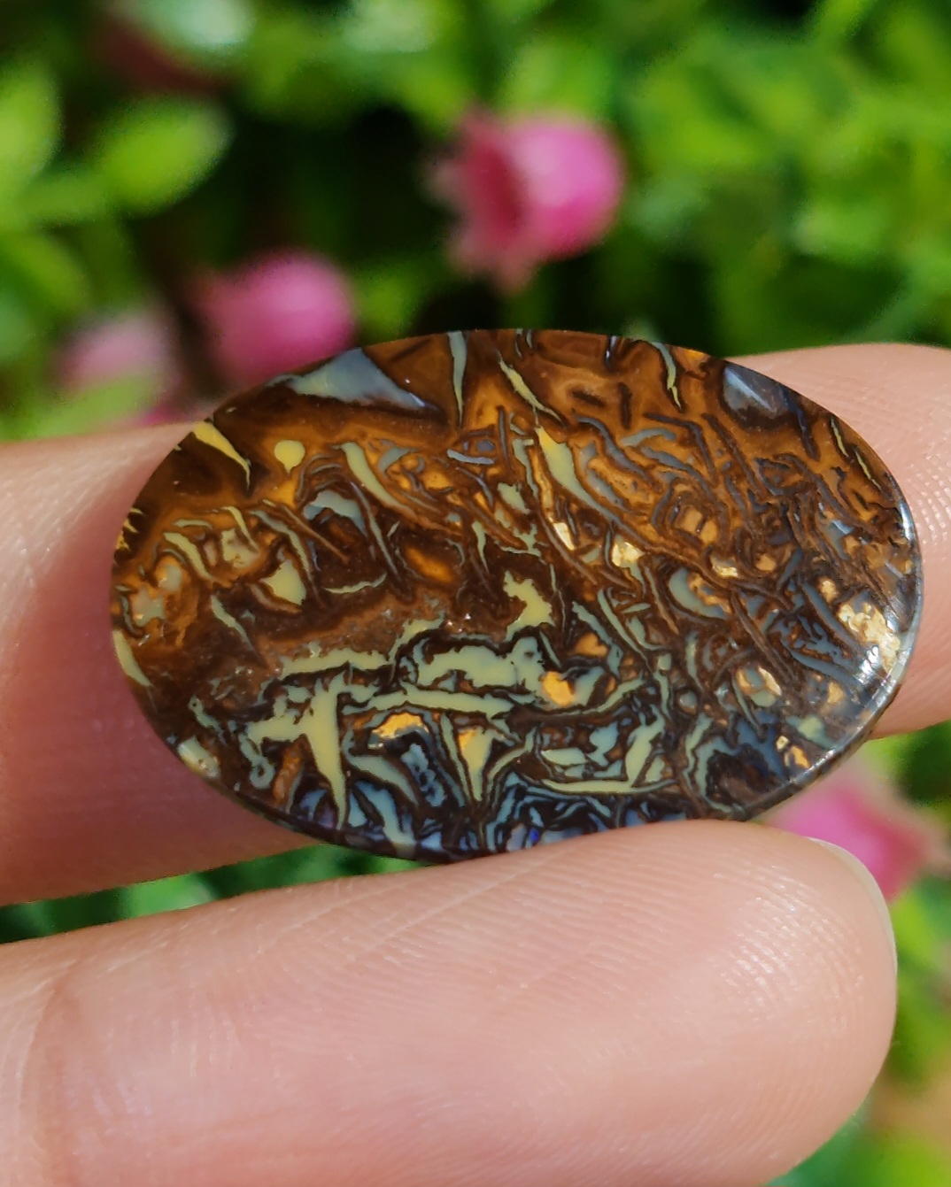 พลอย โบลเดอร์ โอปอล ออสเตรเลีย Australian Boulder Opal 26.9 กะรัต (Cts.) พลอยแท้ อัญมณีมงคลประจําวันเกิด เครื่องประดับพลอย