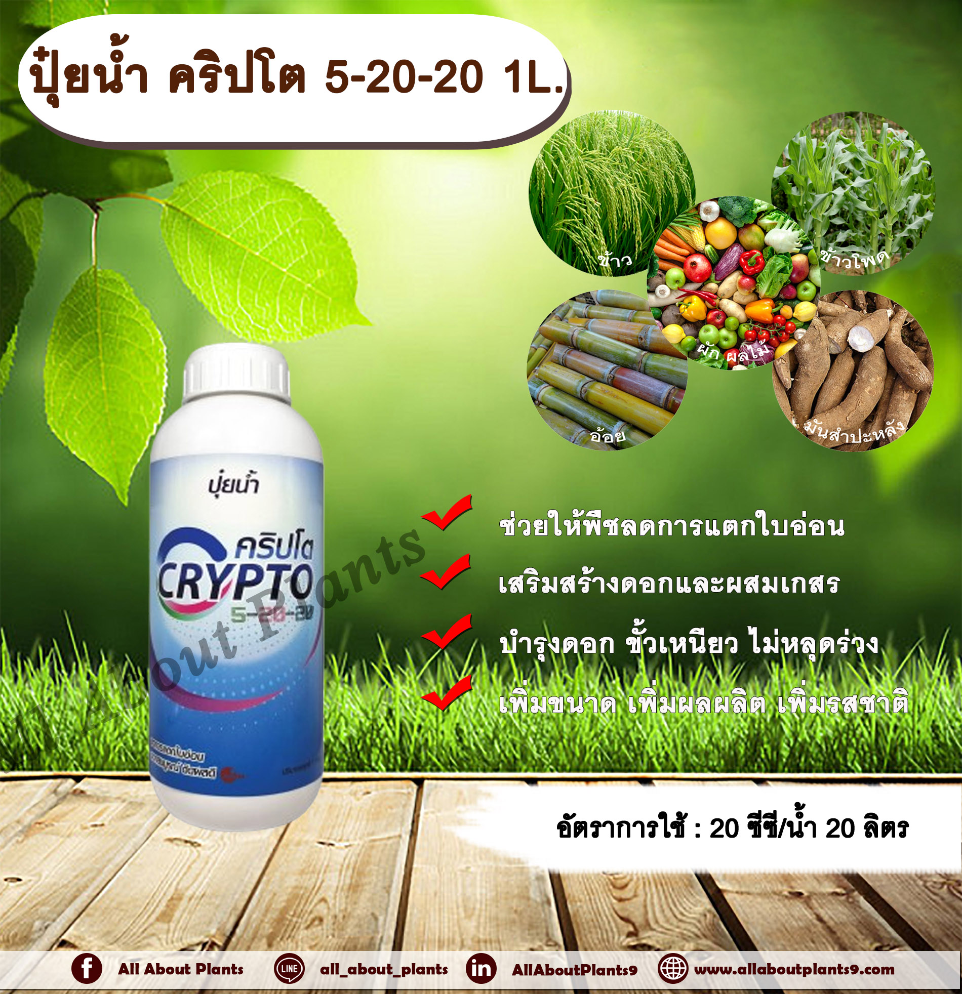 ปุ๋ยน้ำ คริปโต 5-20-20 1L. ลดการแตกใบอ่อน ดอกสมบูรณ์ เกสรแข็งแรง ติดผลดี ผลสมบูรณ์ NPK allaboutplants ชิ้น