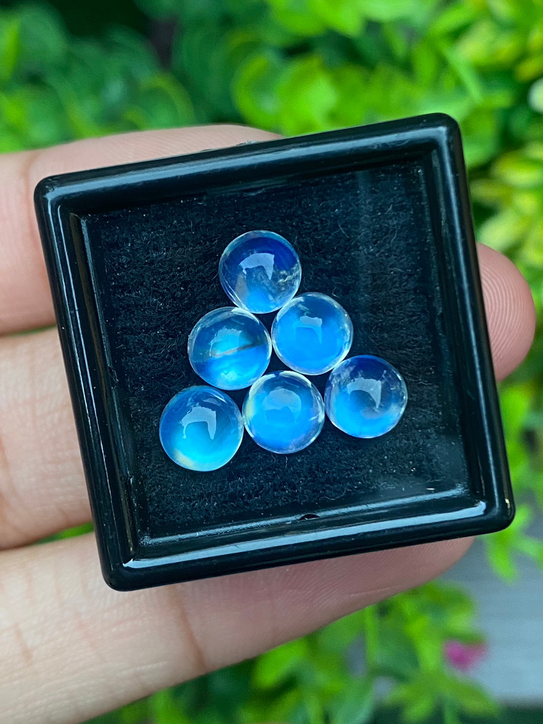 พลอย มุกดาหาร เรนโบว์ มูนสโตน Rainbow Moonstone 7.20 กะรัต 6 เม็ด พลอยแท้ อัญมณีมงคลประจําวันเกิด เครื่องประดับพลอย