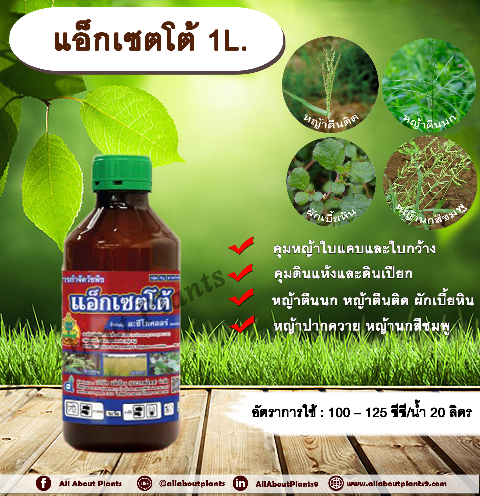 แอ็กเซตโต้ 1L.อะซีโทคลอร์ อะเซโทคลอร์ คุมหญ้า คุมวัชพืช คุมแห้ง สารกำจัดวัชพืช ใบแคบ ใบกว้าง หญ้าตีนติด หญ้าตีนกา หญ้านกสีชมพู ชิ้น