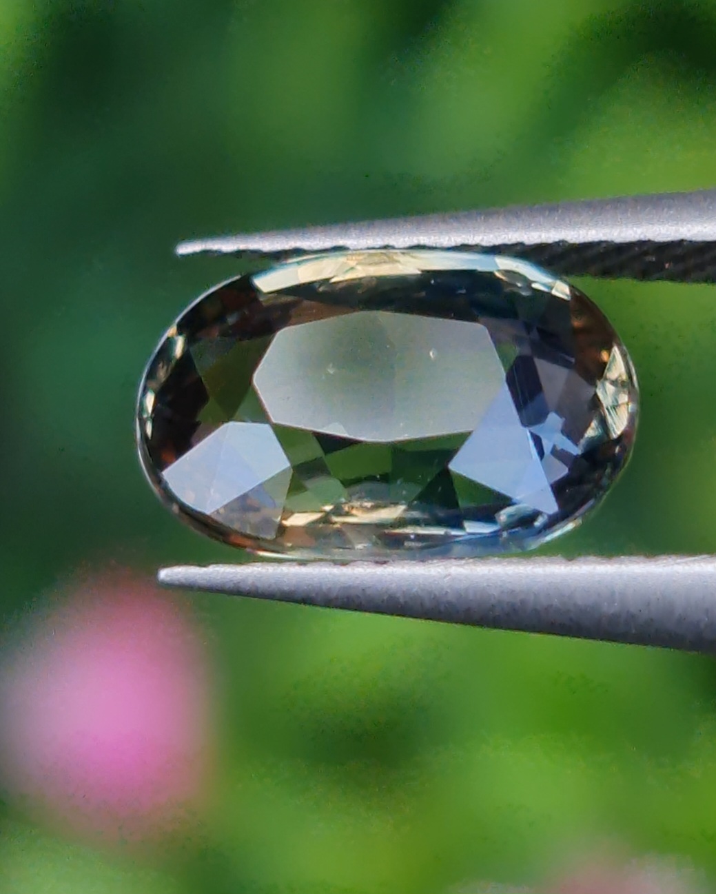 พลอย แซฟไฟร์ 2 สี Bi-Color Sapphire 2.05 กะรัต (Cts.) พลอยแท้ อัญมณีมงคลประจําวันเกิด เครื่องประดับพลอย