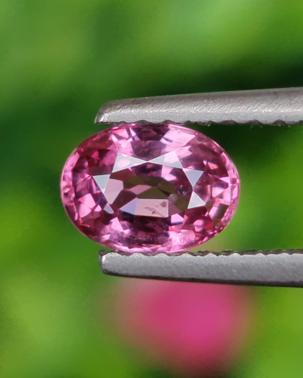พลอย ชมพู พิ้ง แซฟไฟร์ Pink Sapphire 0.80 กะรัต (Cts.) พลอยแท้ อัญมณีมงคลประจําวันเกิด เครื่องประดับพลอย
