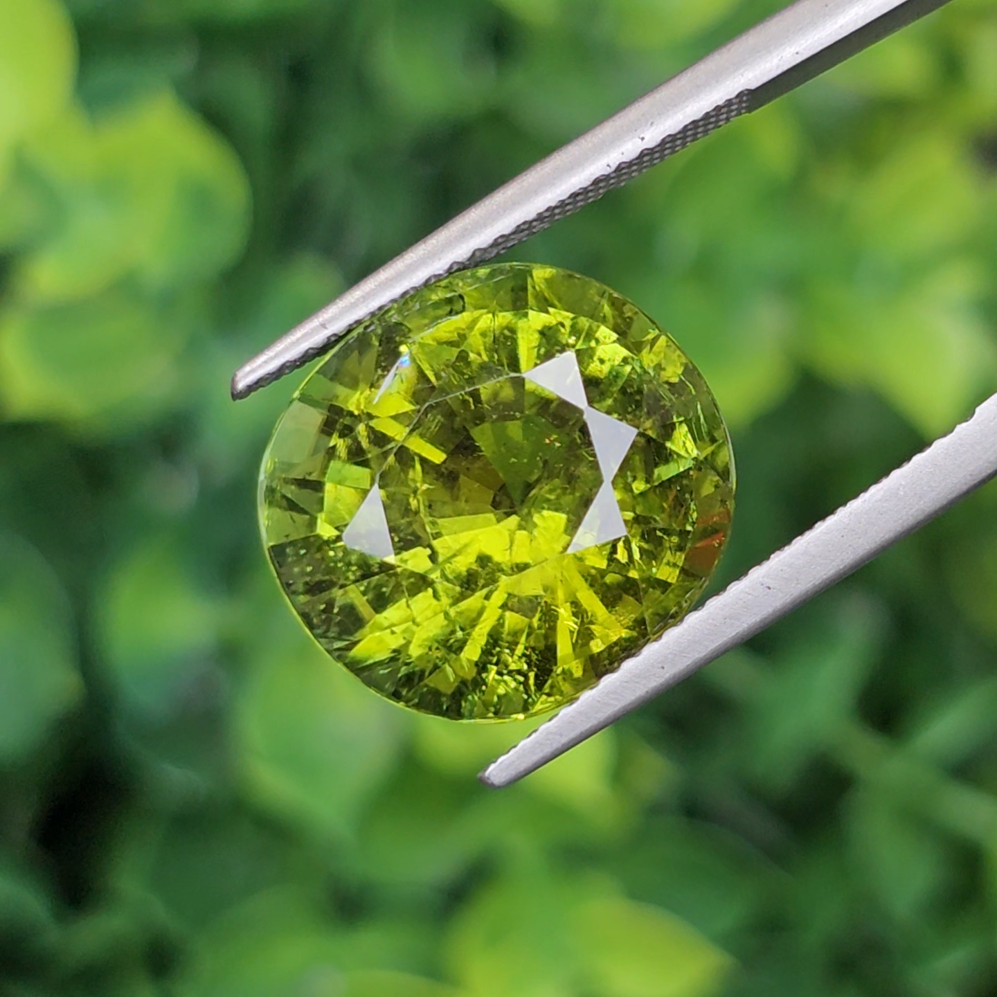 พลอย ทัวร์มาลีน Tourmaline 13.77 กะรัต (Cts.) พลอยแท้อัญมณีมงคล ประจําวันเกิด เครื่องประดับพลอย