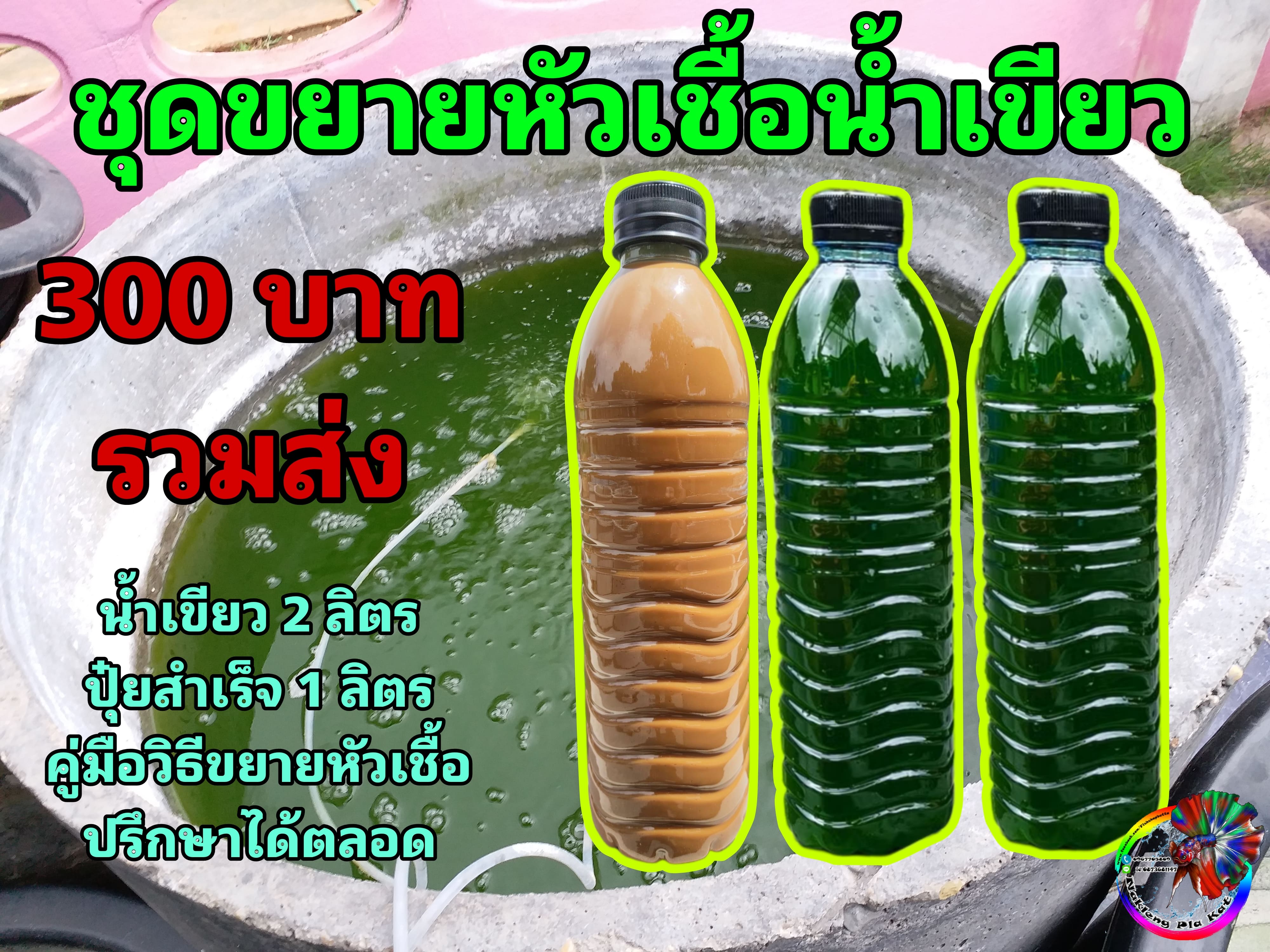 หัวเชื้อน้ำเขียวเพื่อเพราะเลี้ยงไรแดง