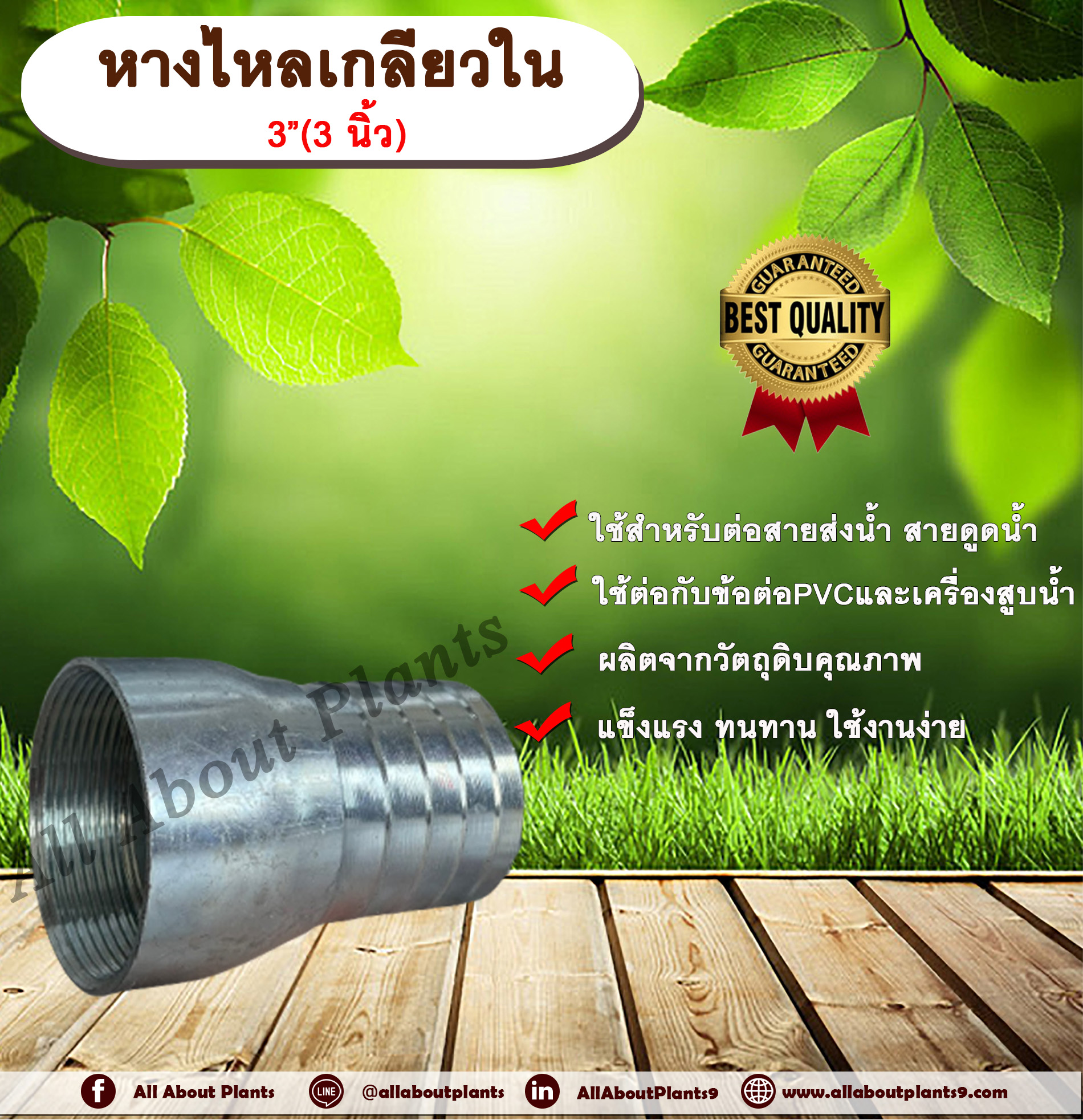 หางไหลเกลียวใน ขนาด 3 นิ้ว(3”) หางไหลข้างเดียว เกลียวใน หางไหลเกลียวใน ข้อต่อสายส่งน้ำ ข้อต่อสายดูดน้ำ ข้อต่อสายส่งน้ำผ้าใบ หางไหล แป๊บรีดเกลียวใน แป๊บเหล็ก แป๊บต่อสายยาง allaboutplants ชิ้น
