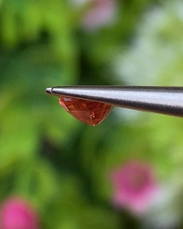 พลอย ออเรนจ์ แซฟไฟร์ Orange Sapphire 0.58 กะรัต (Cts.) พลอยแท้ อัญมณีมงคลประจําวันเกิด เครื่องประดับพลอย