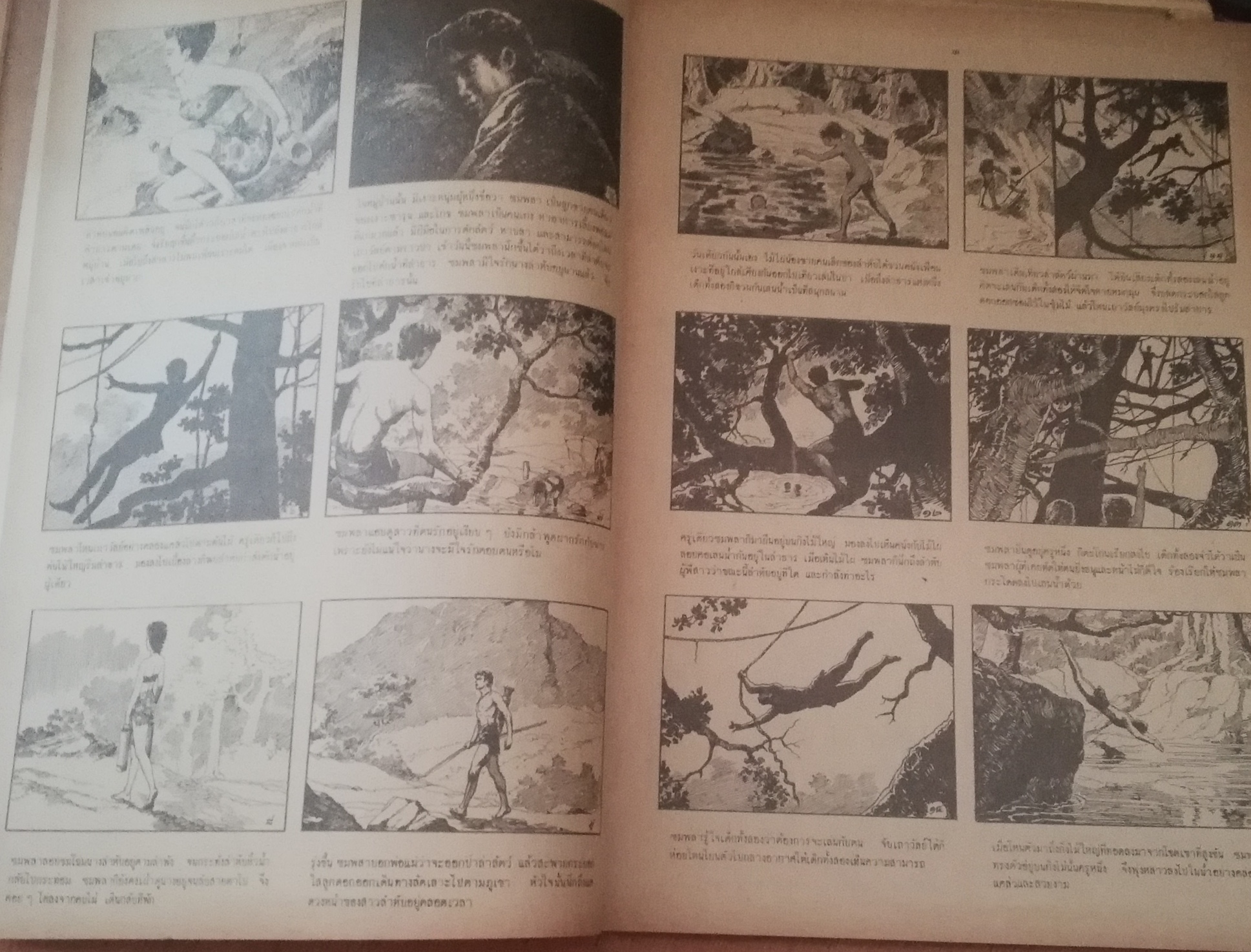 หนังสือภาพ เรื่อง เงาะป่า ลายเส้น ครู เหม เวชกร หนังสือมือ1เก่าเก็บ