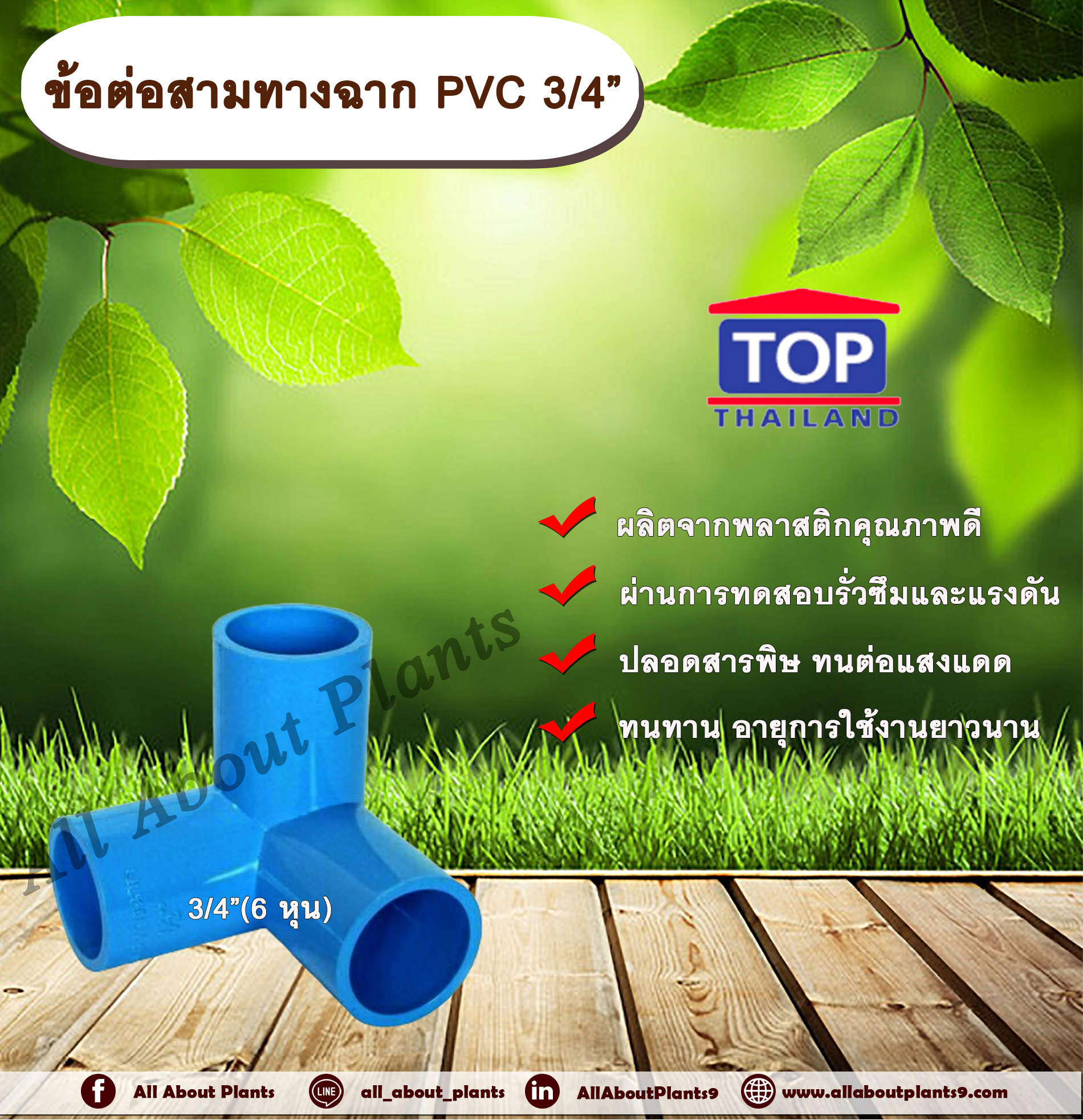 ข้อต่อสามทางฉาก PVC ตรา TOP 3/4”(6หุน) ข้อต่อสามทางฉากท่อPVC ขนาด 3/4นิ้ว หรือ 6หุน สามทางตั้งฉาก สามทางมุมฉาก allaboutplants ชิ้น