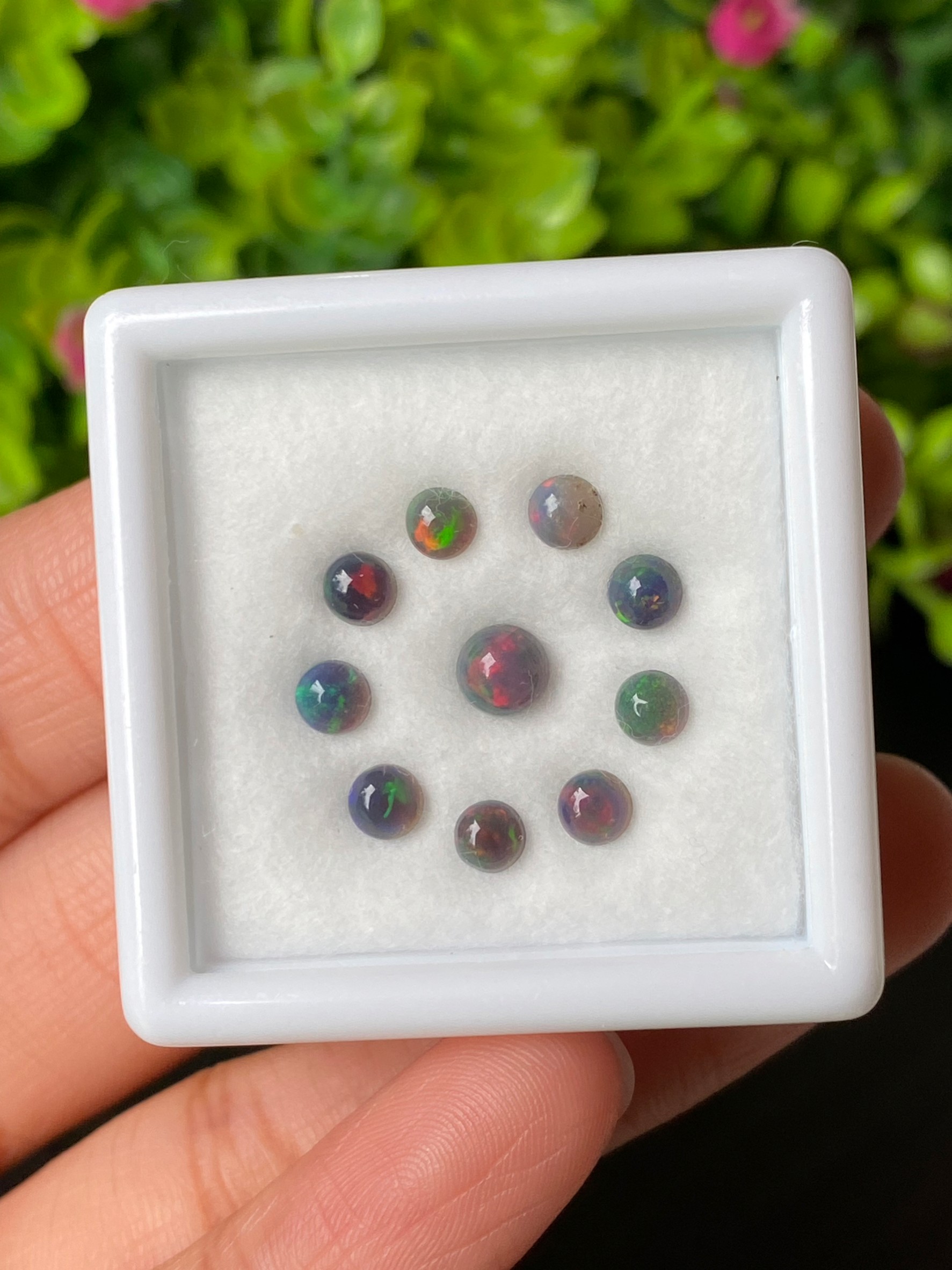 พลอย แบล็ก โอปอล Black Opal 1.98 กะรัต (Cts.) 10 เม็ด (Pcs.) พลอยแท้ อัญมณีมงคลประจําวันเกิด เครื่องประดับพลอย