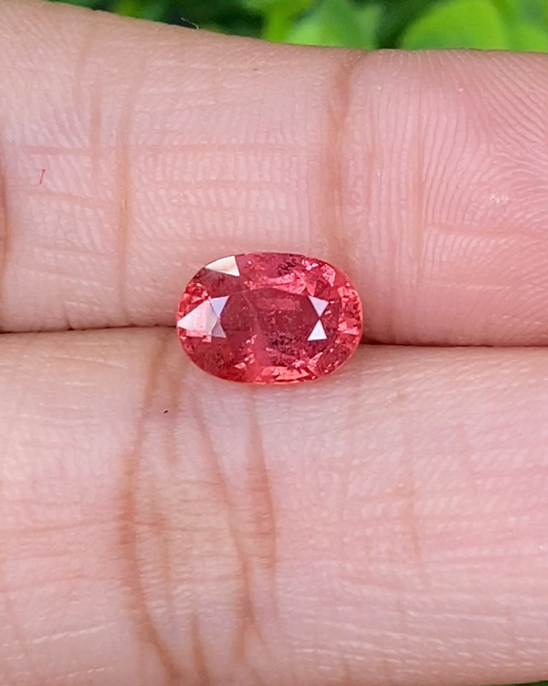 พลอย ซองเจีย ส้มอมชมพู (Pinkish Orange Sapphire) 2.31 กะรัต (Cts.) พลอยแท้ อัญมณีมงคลประจําวันเกิด เครื่องประดับพลอย