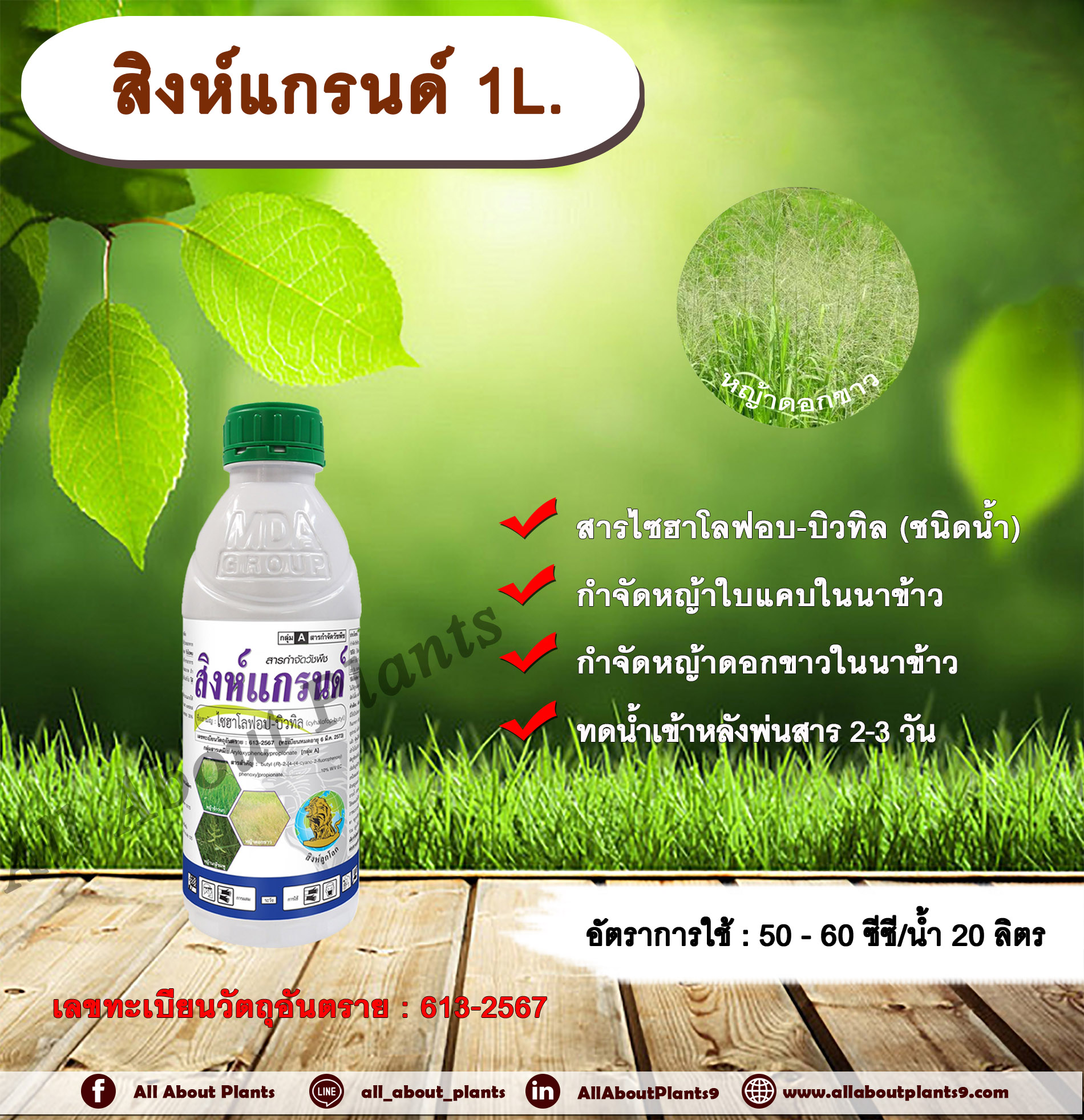สิงห์แกรนด์ 1L.ไซฮาโลฟอบ-บิวทิล สารกำจัดวัชพืช สารกำจัดหญ้า ในนาข้าว หญ้าใบแคบ หญ้าดอกขาว ชิ้น