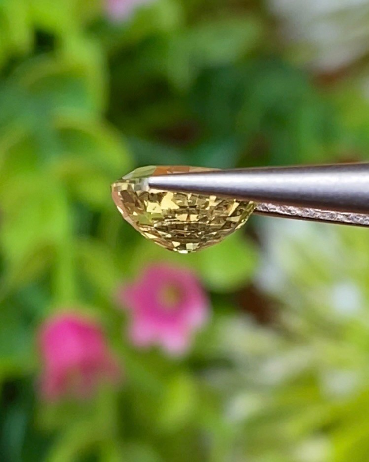 พลอย คริโซเบริล (Chrysoberyl) 1.83 กะรัต (Cts.) พลอยแท้ อัญมณีมงคลประจําวันเกิด เครื่องประดับพลอย