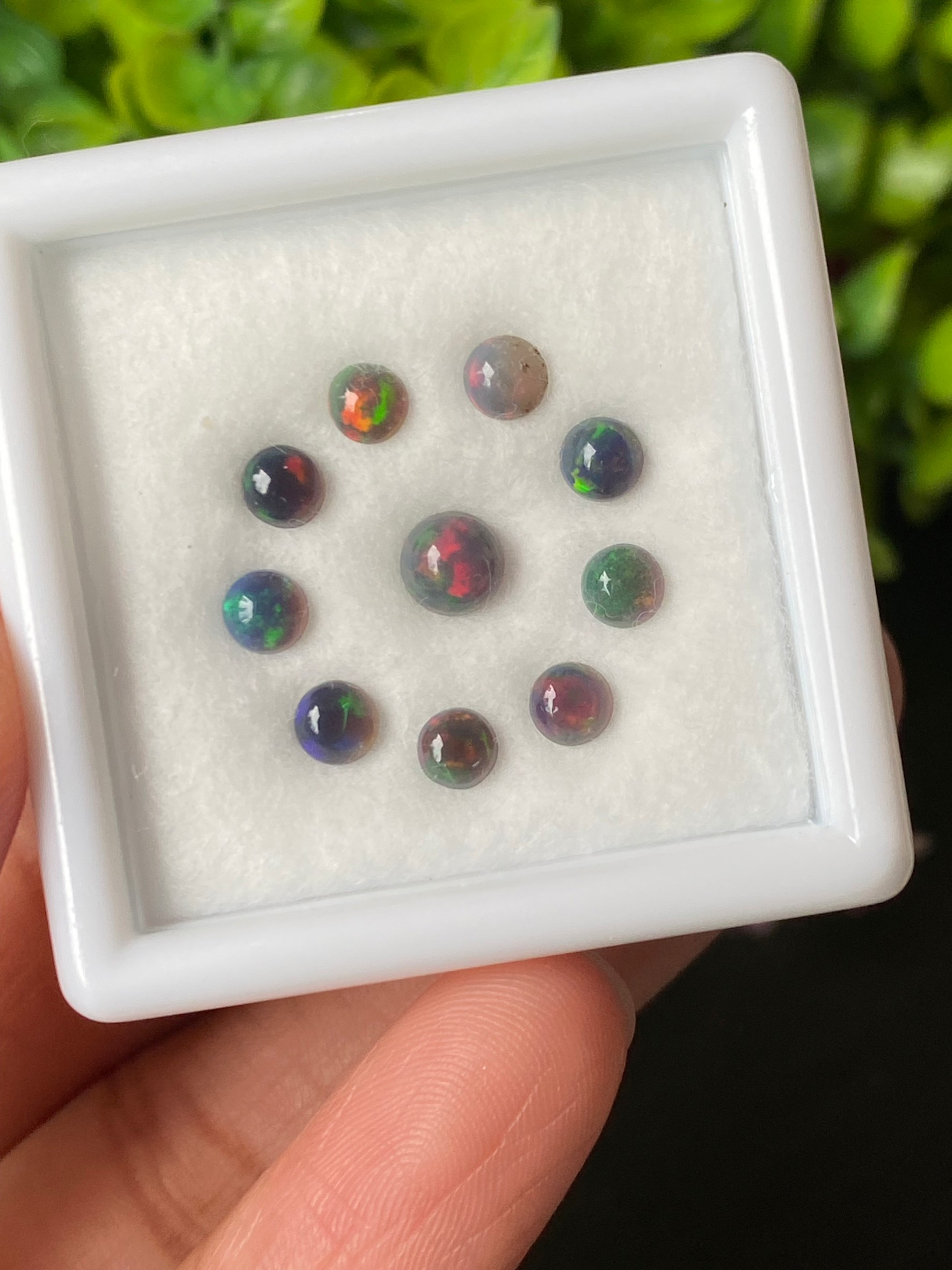 พลอย แบล็ก โอปอล Black Opal 1.98 กะรัต (Cts.) 10 เม็ด (Pcs.) พลอยแท้ อัญมณีมงคลประจําวันเกิด เครื่องประดับพลอย