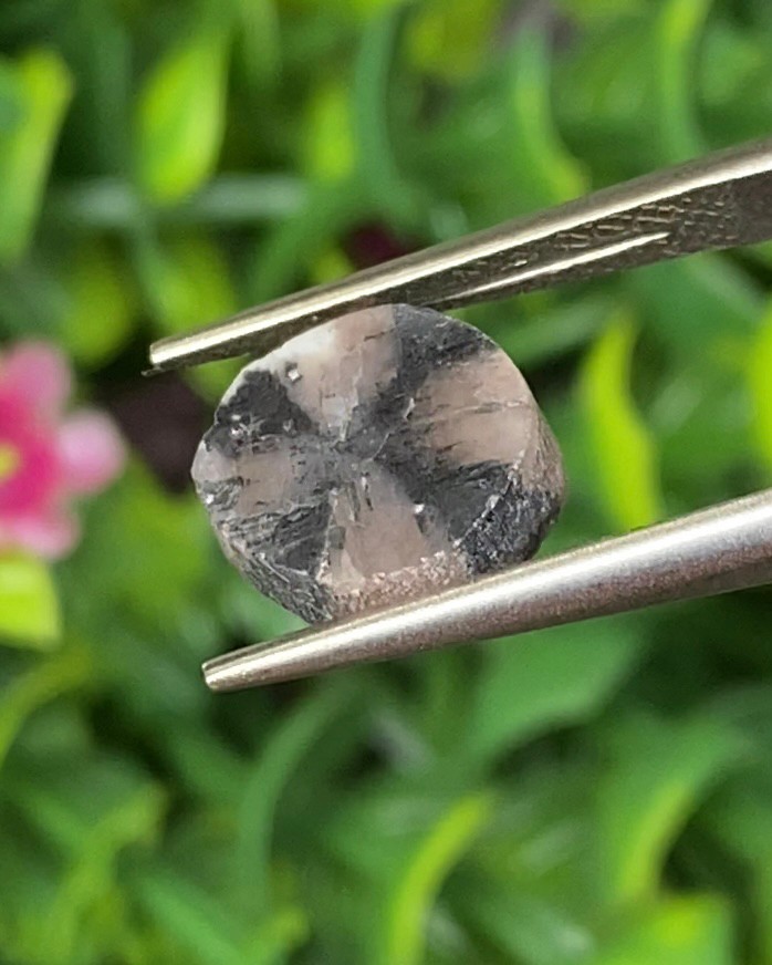 ไคแอสโทไลต์ Chiastolite 3.71 กะรัต (Cts.) พร้อมใบเซอร์ พลอยแท้ อัญมณีมงคลประจําวันเกิด เครื่องประดับพลอย