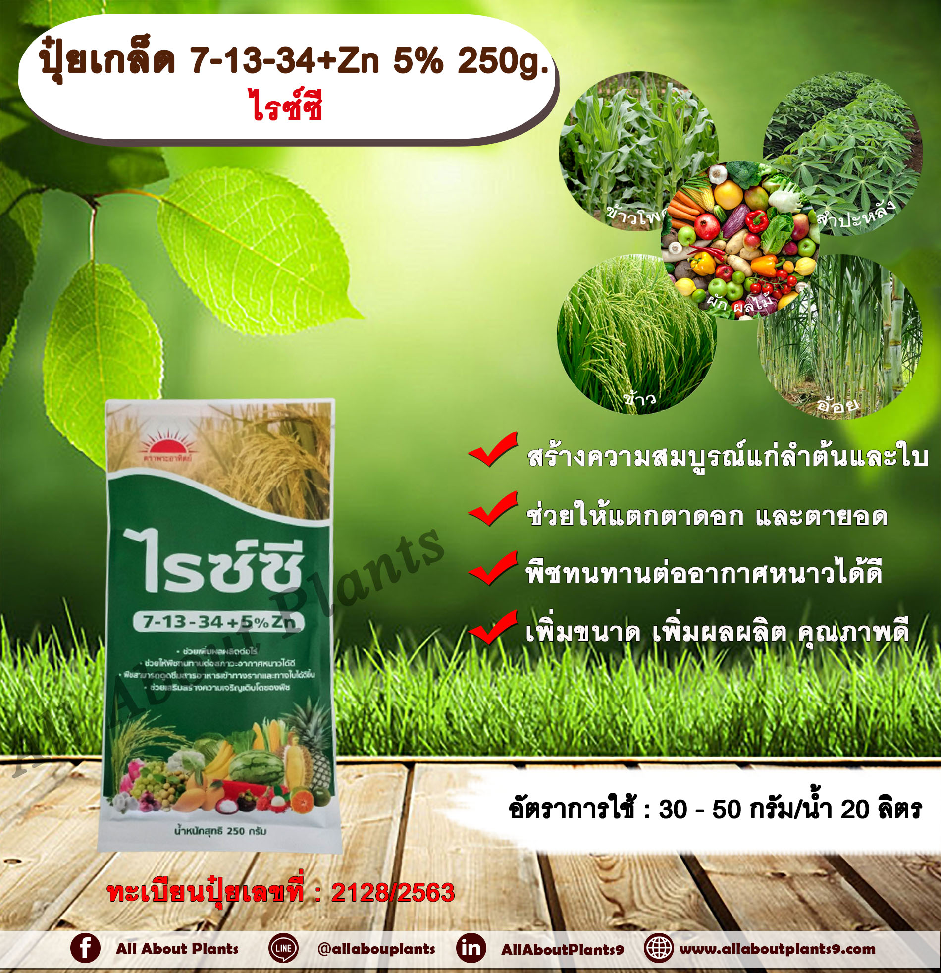 ปุ๋ยเกล็ด 7-13-34 + Zn 5% 250g. ไรซ์ซี บำรุงต้น บำรุงใบ แตกตาดอก แตกตายอด เกสรแข็งแรง ผลสมบูรณ์ น้ำหนักดี เพิ่มขนาด ถุง