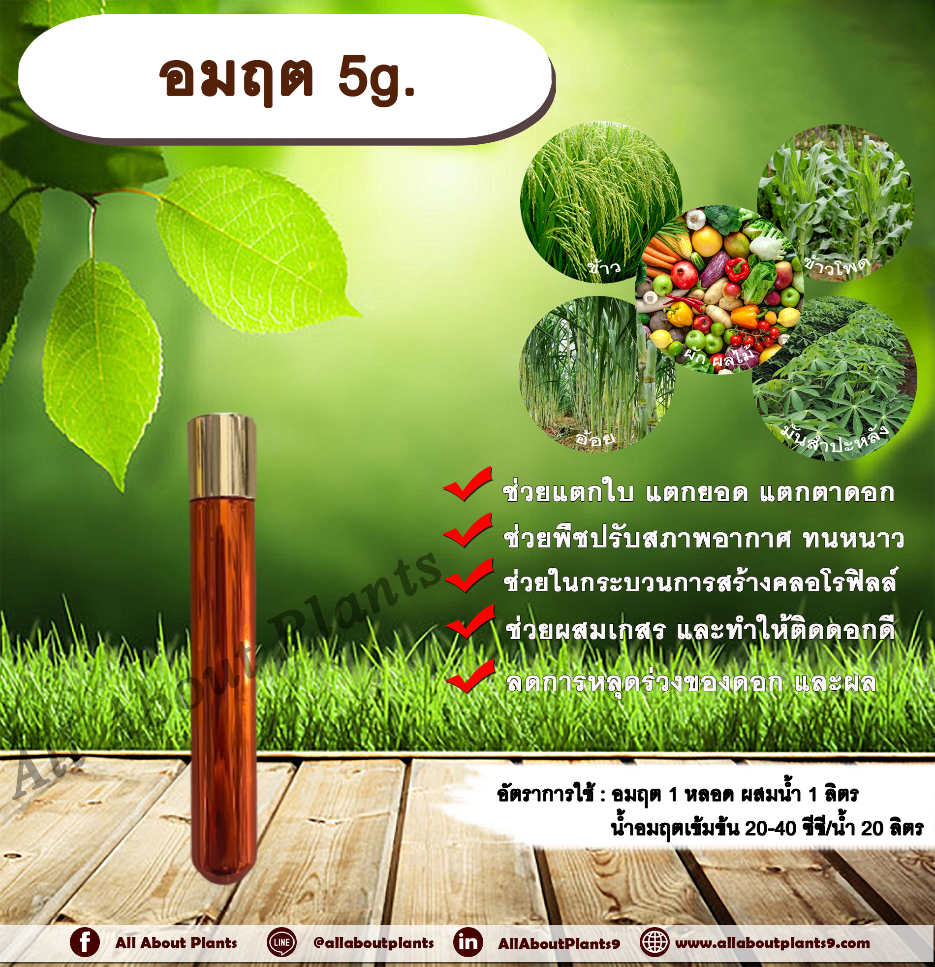 อมฤต 5g. สารเพิ่มพลังงานพืชโมเลกุลใหม่ ชนิดผง พืชทนทานต่อความแปรปรวนของสภาพอากาศ สร้างคลอโรฟิลล์ เกสรตัวผู้แข็งแรง ผสมเกสร ติดดอกดี ลดการหลุดร่วงของดอก และผล สารสร้างความสุขให้แก่พืช ชิ้น