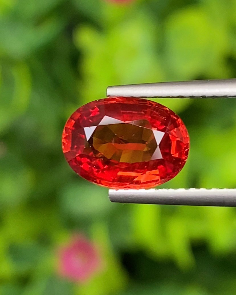 พลอย ทับทิม ซองเจีย Ruby Sapphire 2.66 กะรัต (Cts) พลอยแท้ อัญมณีมงคลประจําวันเกิด เครื่องประดับพลอย