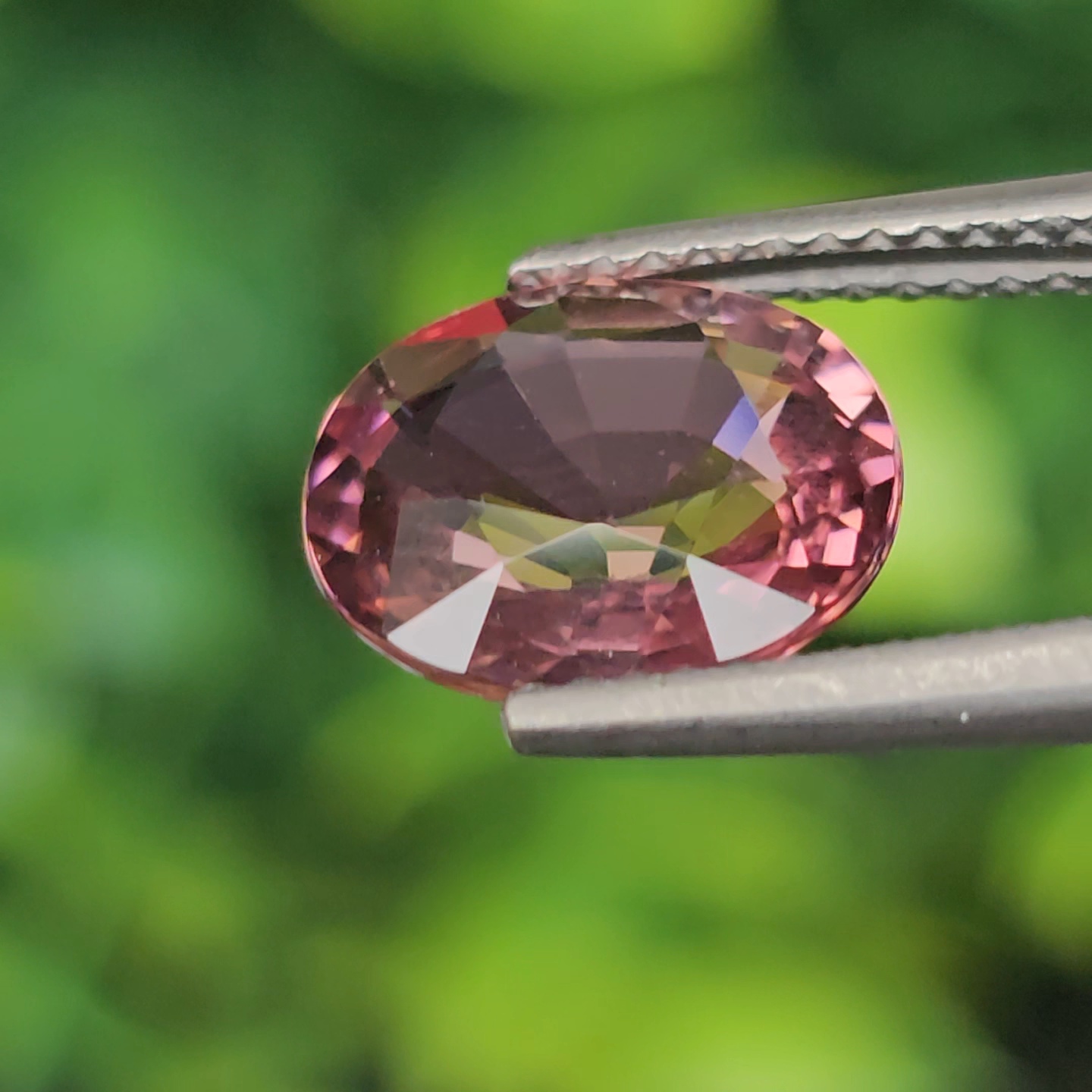 พลอย ทัวร์มารีน (Tourmaline) 2.68 กะรัต (Cts.) อัญมณีมงคลประจําวันเกิด เครื่องประดับพลอย