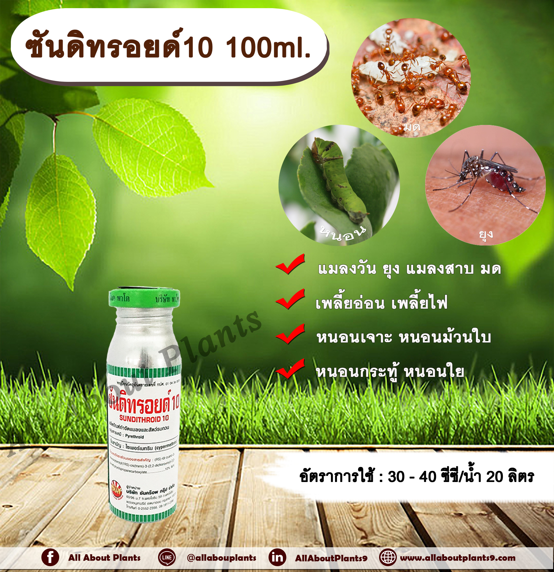 ซันดิทรอยด์ 10 100ml. ไซเพอร์เมทริน สารกำจัดแมลง หนอน เพลี้ย มด แมลง พ่นยุง แมลงสาบ ฉีดเล้าไก่ คอกวัว คอกม้า allaboutplants ชิ้น