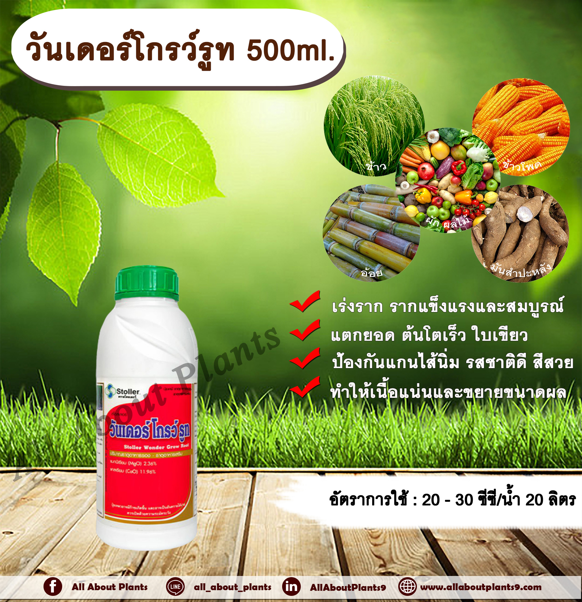 วันเดอร์โกรรูท 500ml. แมกนีเซียม แคลเซียม เร่งราก รากแตกเยอะ ใบเขียว ขยายราก allaboutplants ชิ้น