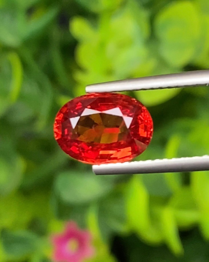 พลอย ทับทิม ซองเจีย Ruby Sapphire 2.66 กะรัต (Cts) พลอยแท้ อัญมณีมงคลประจําวันเกิด เครื่องประดับพลอย