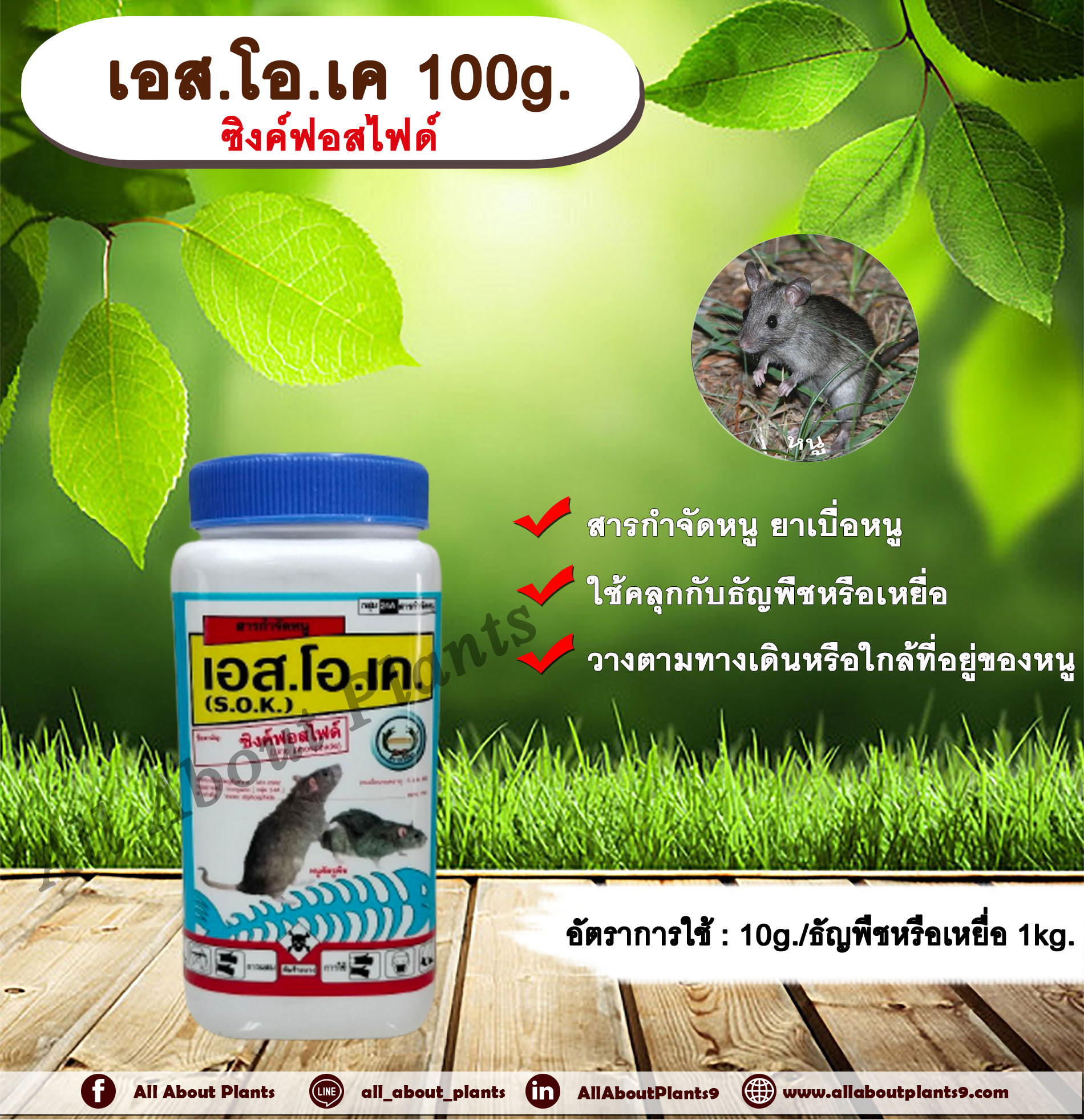 เอส.โอ.เค 100g. สารกำจัดหนู เบื่อหนู เบือหนู เหยื่อกำจัดหนูallaboutplants ชิ้น